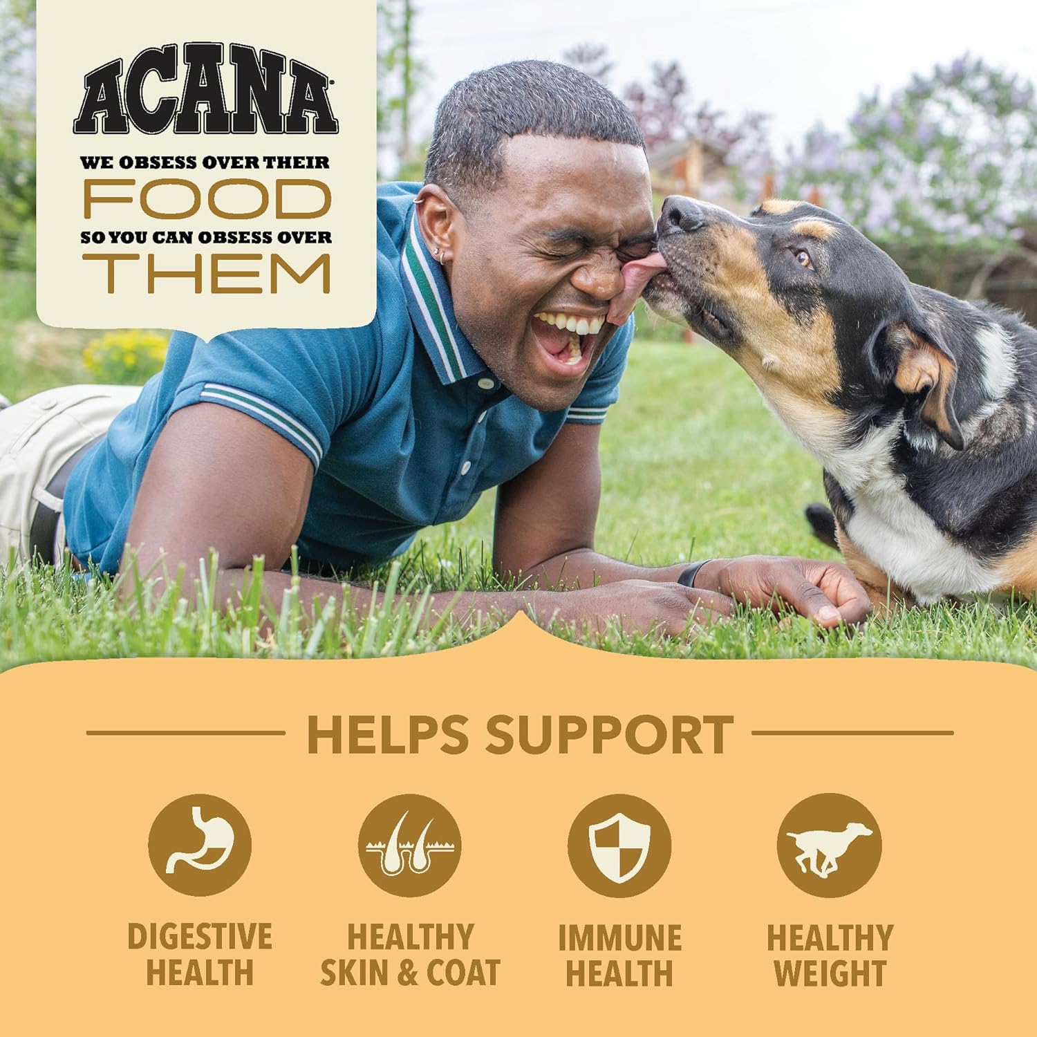 Nourriture sèche pour chiens ACANA Wholesome Grains, volaille élevée en liberté, véritable recette de nourriture pour chiens au poulet, à la dinde et aux œufs, 22,5 livres