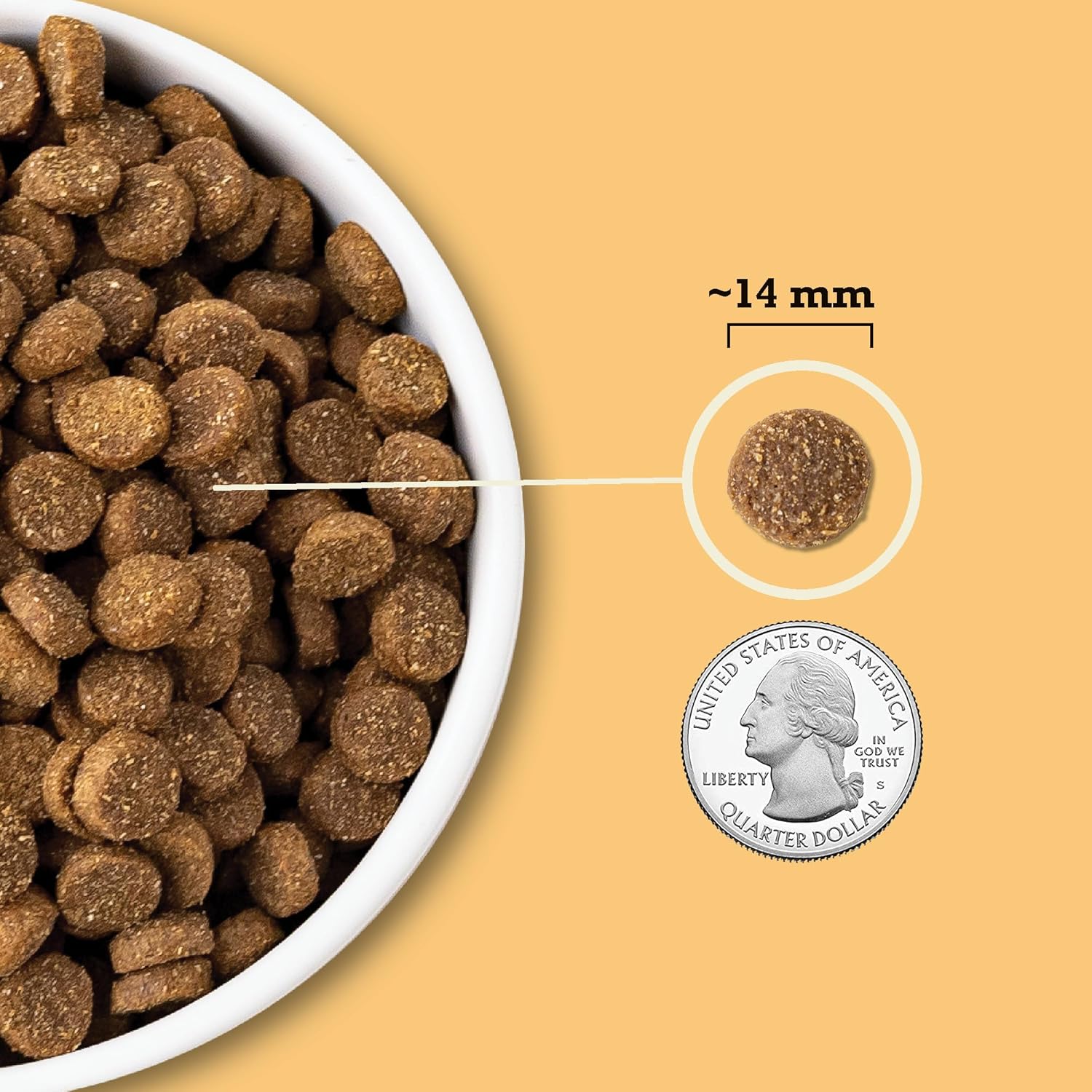 Nourriture sèche pour chiens ACANA Wholesome Grains, volaille élevée en liberté, véritable recette de nourriture pour chiens au poulet, à la dinde et aux œufs, 22,5 livres