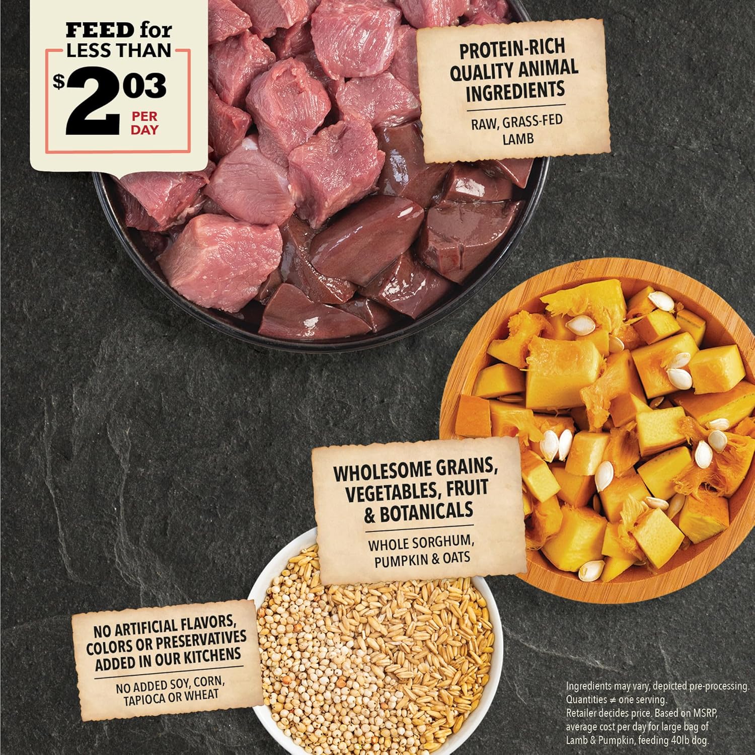 ACANA Wholesome Grains Dry Dog Food, Lamb  Pumpkin Recipe, 22.5lb · v2