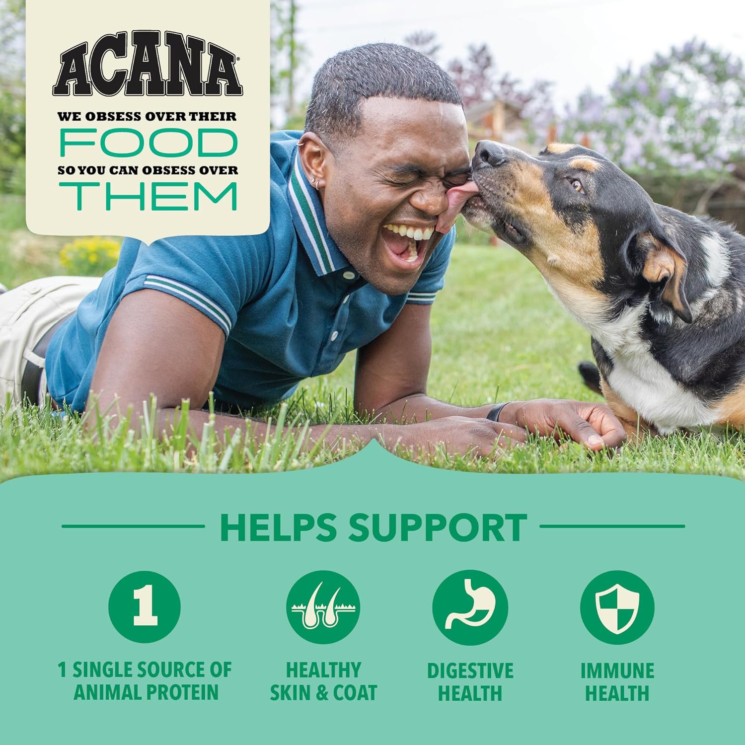 ACANA Wholesome Grains Dry Dog Food, Lamb  Pumpkin Recipe, 22.5lb · v2