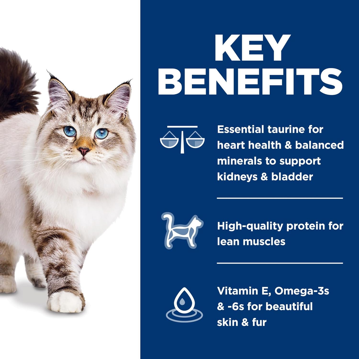 Hills Science Diet pour adultes de 1 à 6 ans, nourriture sèche pour chats de qualité supérieure, recette sans maïs, blé, soja, riz brun, poulet, riz brun, sac de 7 livres