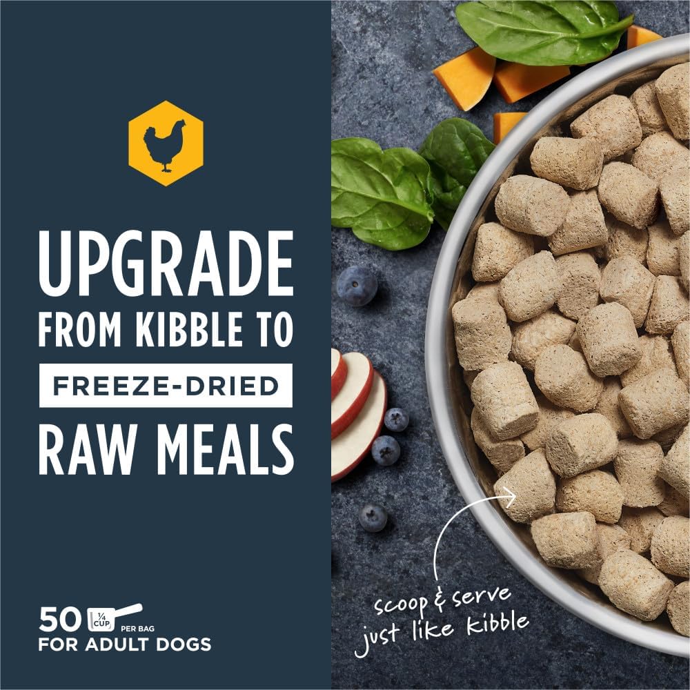 Instinct Freeze Dried Raw Meals Grain Free Dog Food, Dog Food Dry, Freeze Dried Dog Food, Raw Dog Food, Chicken Recipe, 25 oz · v2