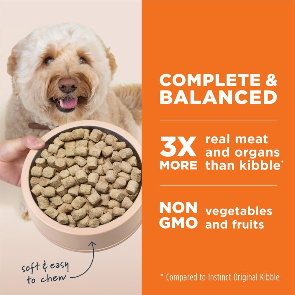 Instinct Freeze Dried Raw Meals Grain Free Dog Food, Dog Food Dry, Freeze Dried Dog Food, Raw Dog Food, Chicken Recipe, 25 oz · v2