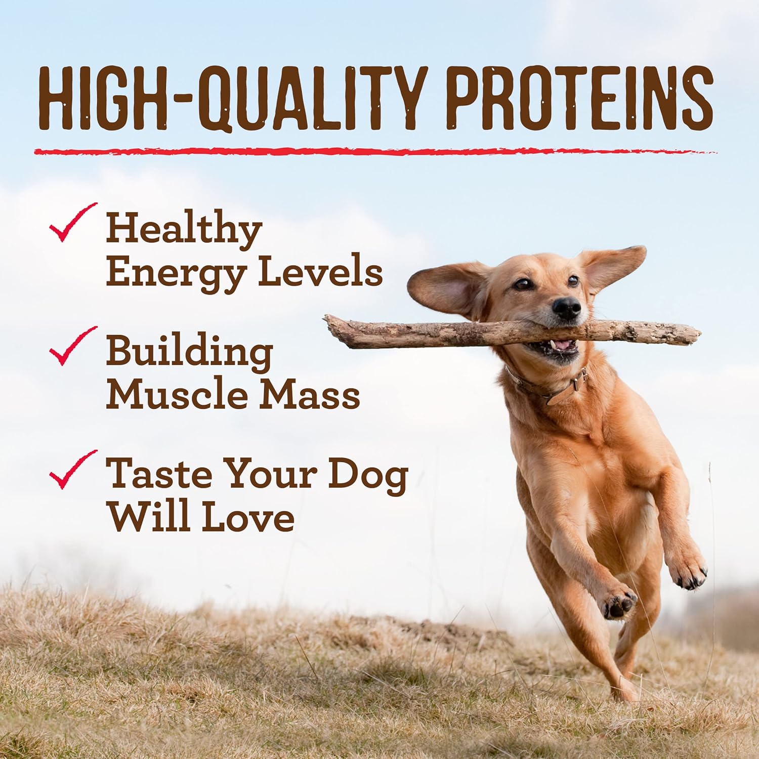 Merrick Grain Free Wet Dog Food Variety Pack, Grain Free Favorites Canned Dog Food - (12) 12.7 oz. Cans · v2
