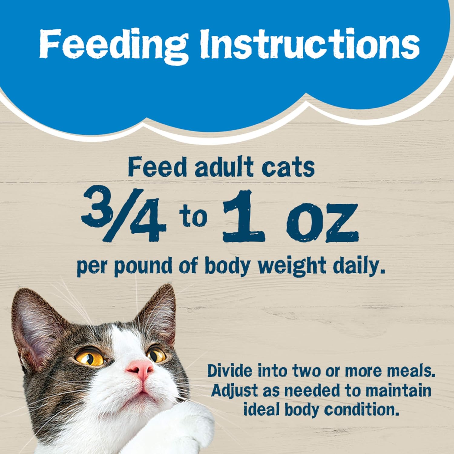 Purina Friskies Ocean Favorites, patè di cibo umido per gatti e pezzetti di carne, con salmone e tonno - (confezione da 24), lattine da 5,5 once