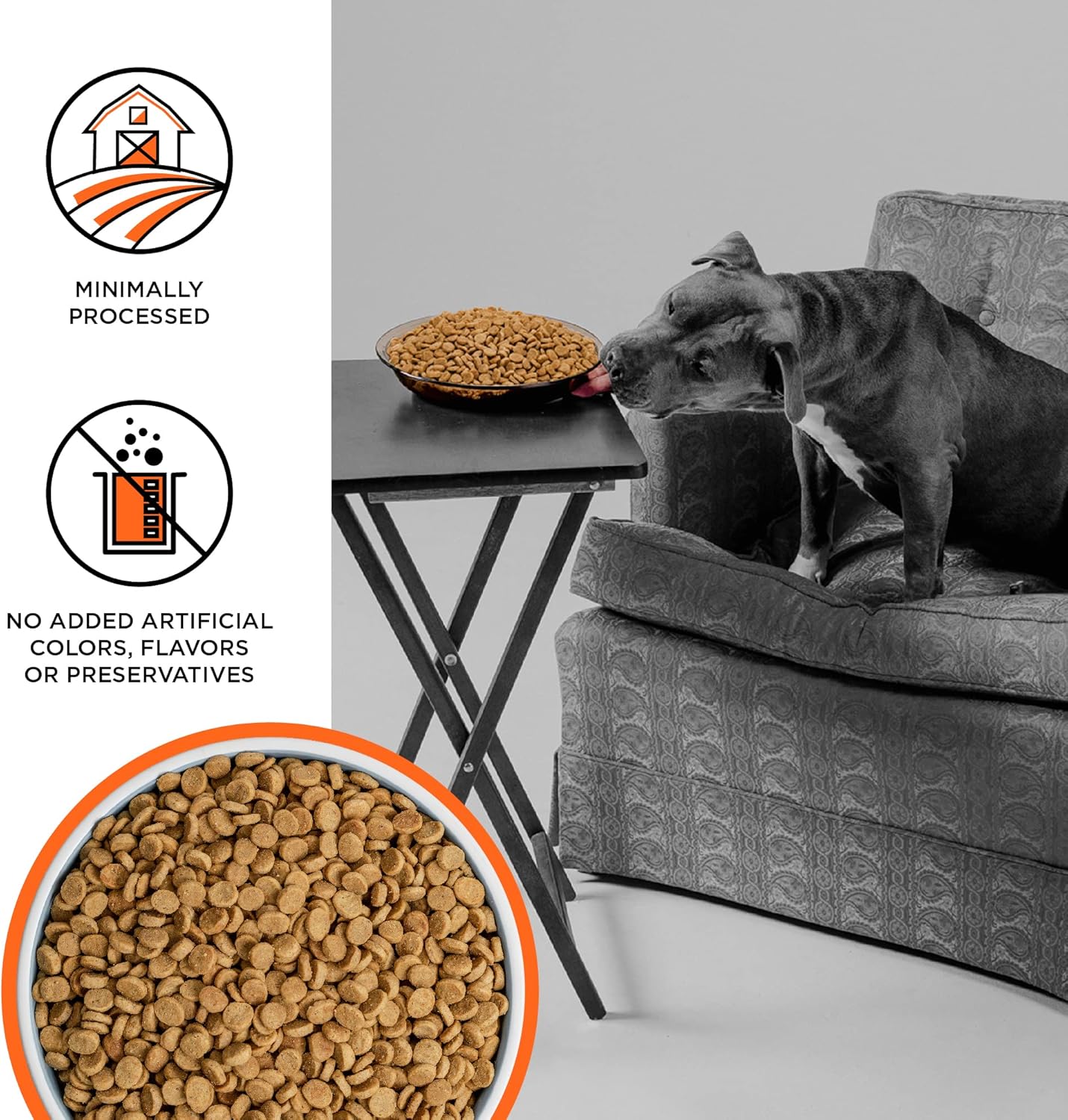 Thức ăn khô không chứa ngũ cốc BIXBI Liberty cho chó, công thức từ gà, 22 lbs - Thịt tươi, không có bột thịt, không có chất độn giúp tiêu hóa dễ dàng - Sản xuất tại Hoa Kỳ