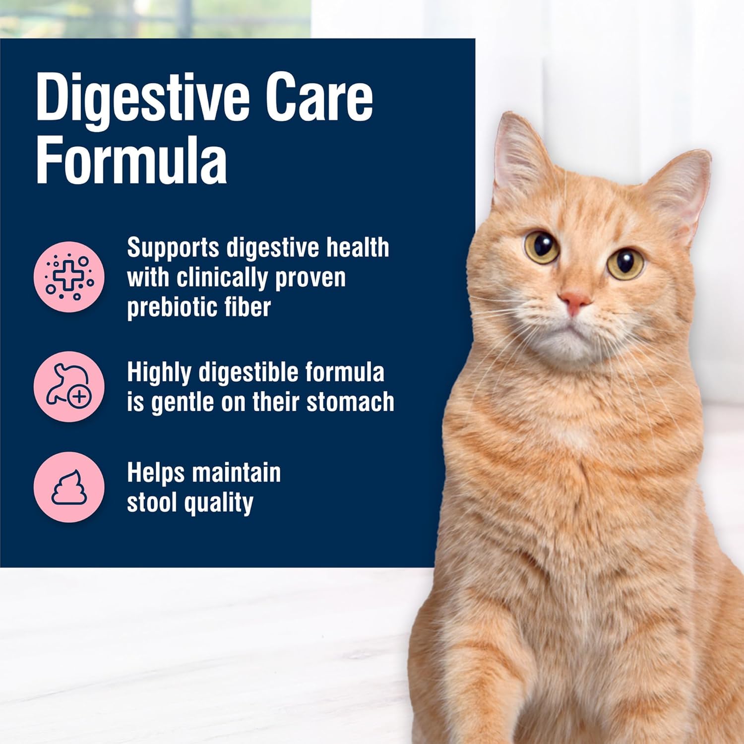 Nourriture sèche naturelle Blue Buffalo True Solutions Blissful Belly Digestive Care pour chats adultes, poulet, 11 livres. Sac