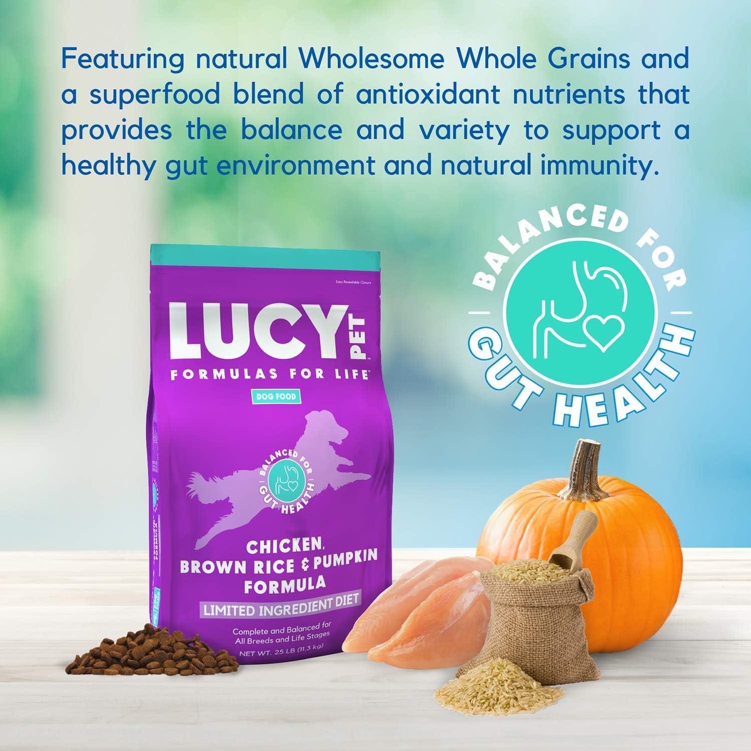 Lucy Pet Products Formulas for Life - Limited Ingredient Diet Dry Dog Food, All Breeds Life Stages - Chicken, Brown Rice amp; Pumpkin, Multi, 4.5 lb
