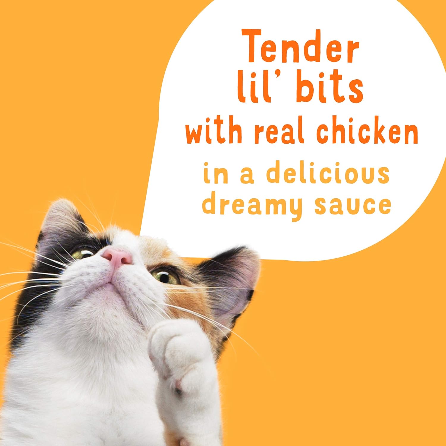 Purina Friskies Wet Cat Food Lickable Cat Treats, Lil’ Slurprises With Shredded Chicken in a Dreamy Sauce - (Pack of 16) 1.2 oz. Pouches · v2
