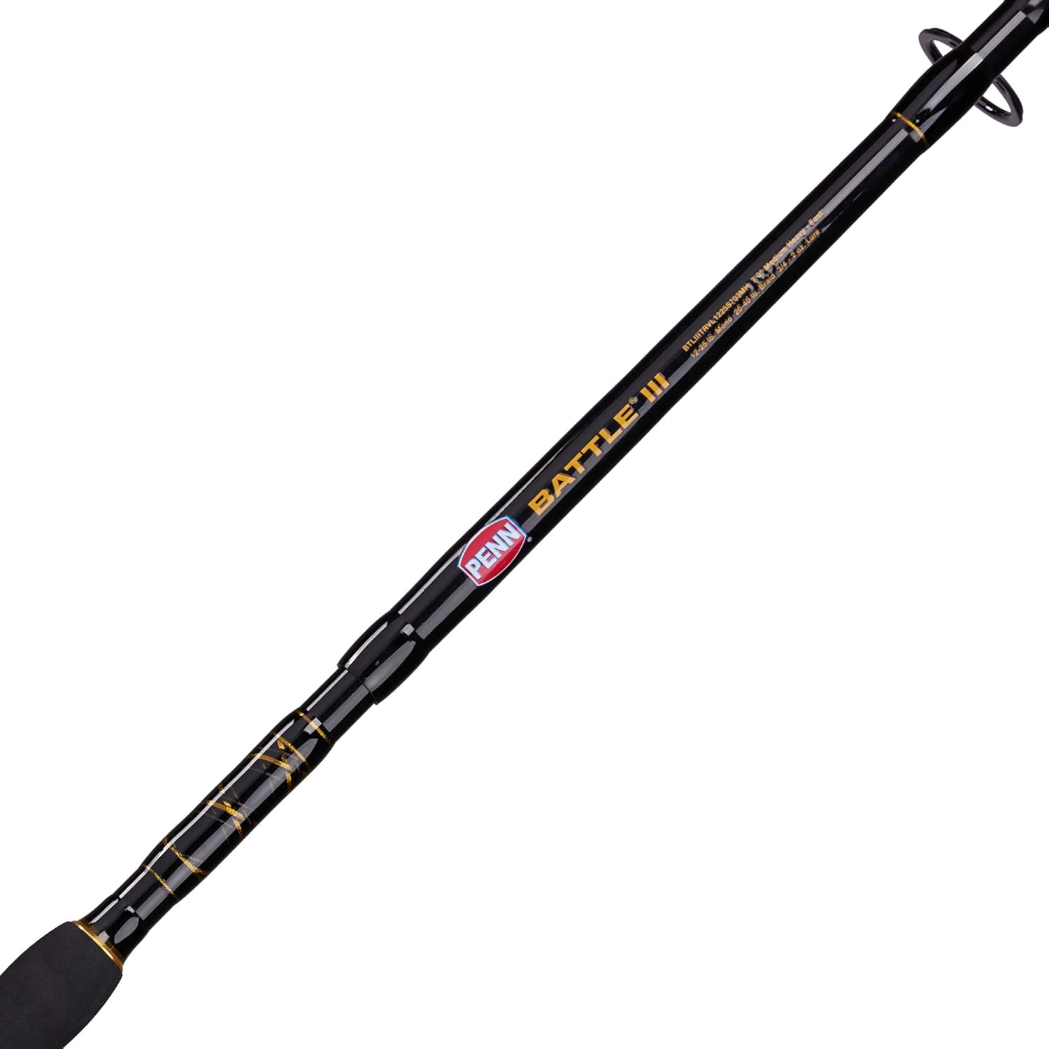 PENN Battle IV Spinning Reel and Fishing Rod Combo · v2