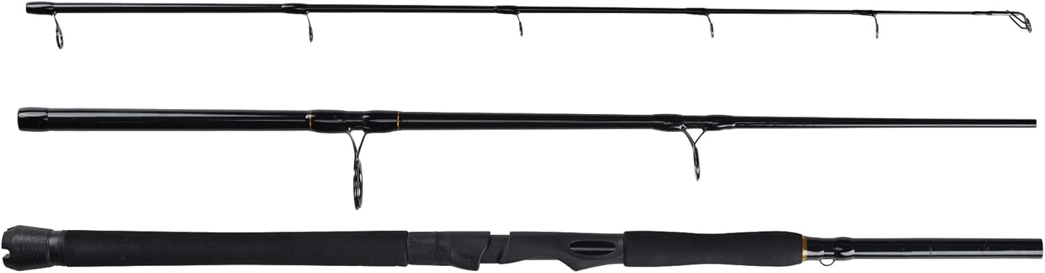 PENN Battle IV Spinning Reel and Fishing Rod Combo · v2