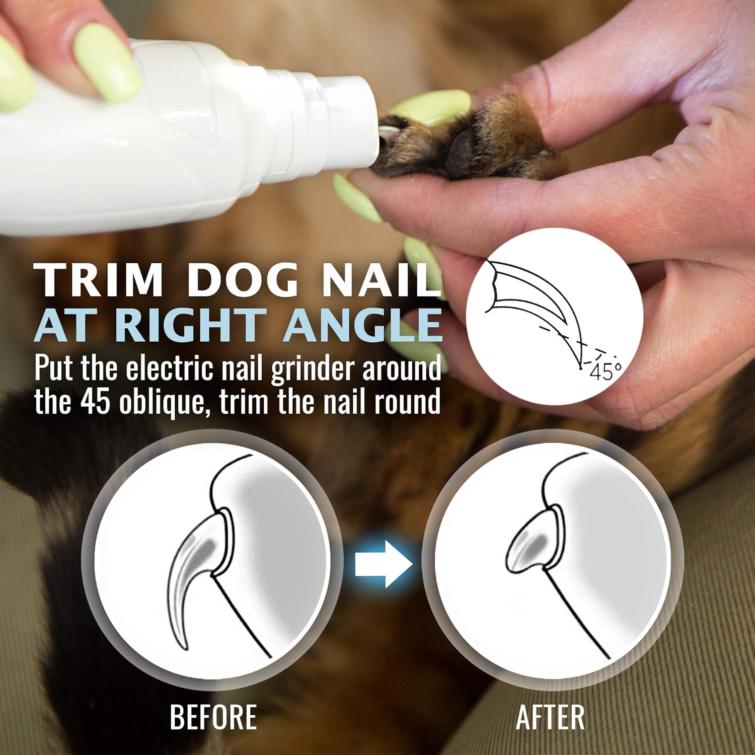 Smerigliatrice per unghie per cani e gatti - Tagliaunghie elettrico ricaricabile per animali domestici - Toelettatura indolore per zampe - Motore silenzioso a 2 velocità. 3 porte di dimensioni per animali domestici di piccola, media e grande taglia - Fino a 4 ore di ricarica