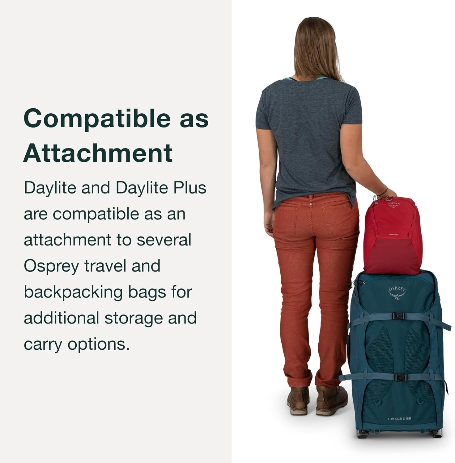 Osprey Daylite Plus Commuter Backpack, Black · v3