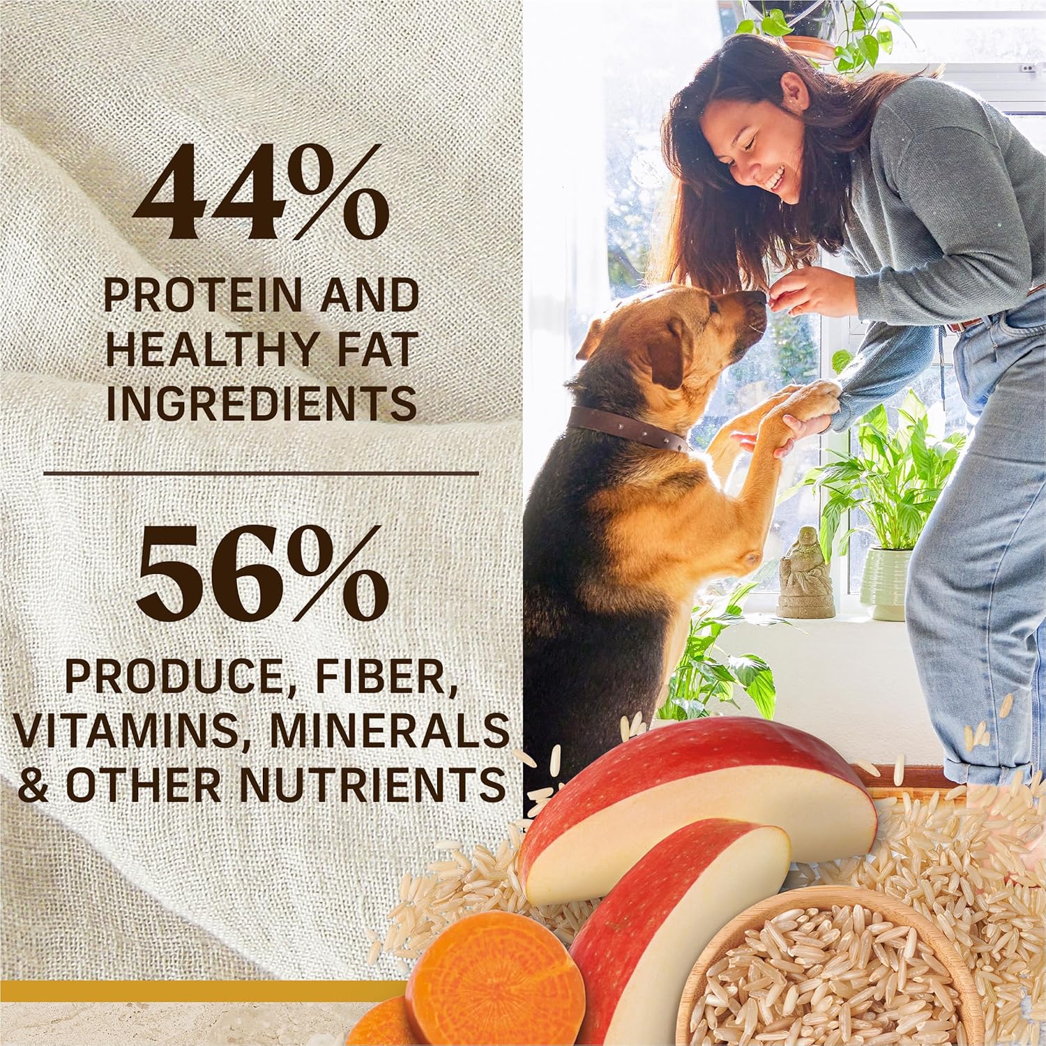 Merrick Healthy Grains Premium Adult Dry Dog Food, Wholesome and Natural Kibble with Chicken and Brown Rice - 33.0 lb. Bag · v2
