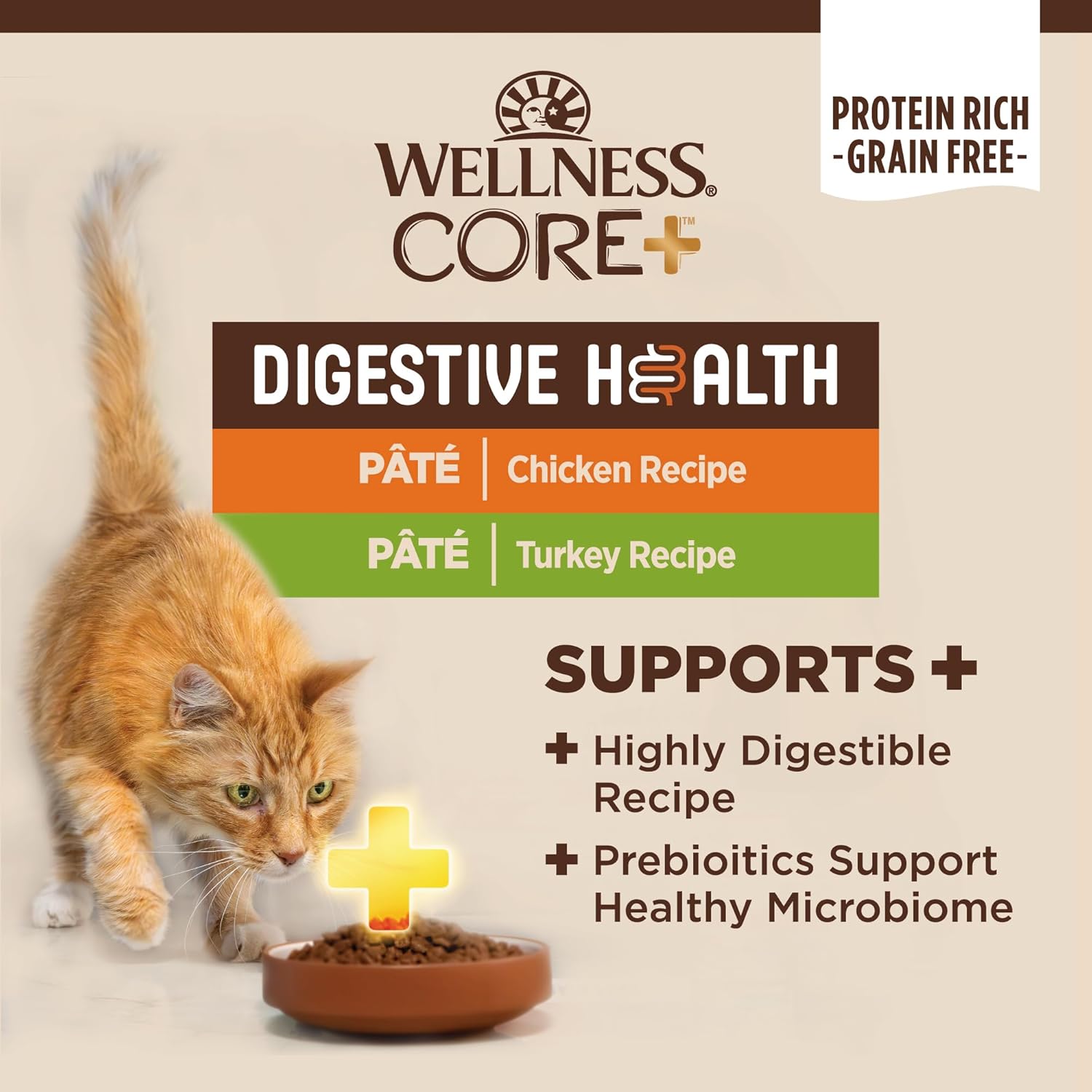Thức ăn ướt tự nhiên không chứa ngũ cốc Wellness CORE Digestive Health cho mèo, dạ dày nhạy cảm, dễ tiêu hóa (Gói gà/gà tây đa dạng, hộp 3 ounce, gói 12 chiếc)