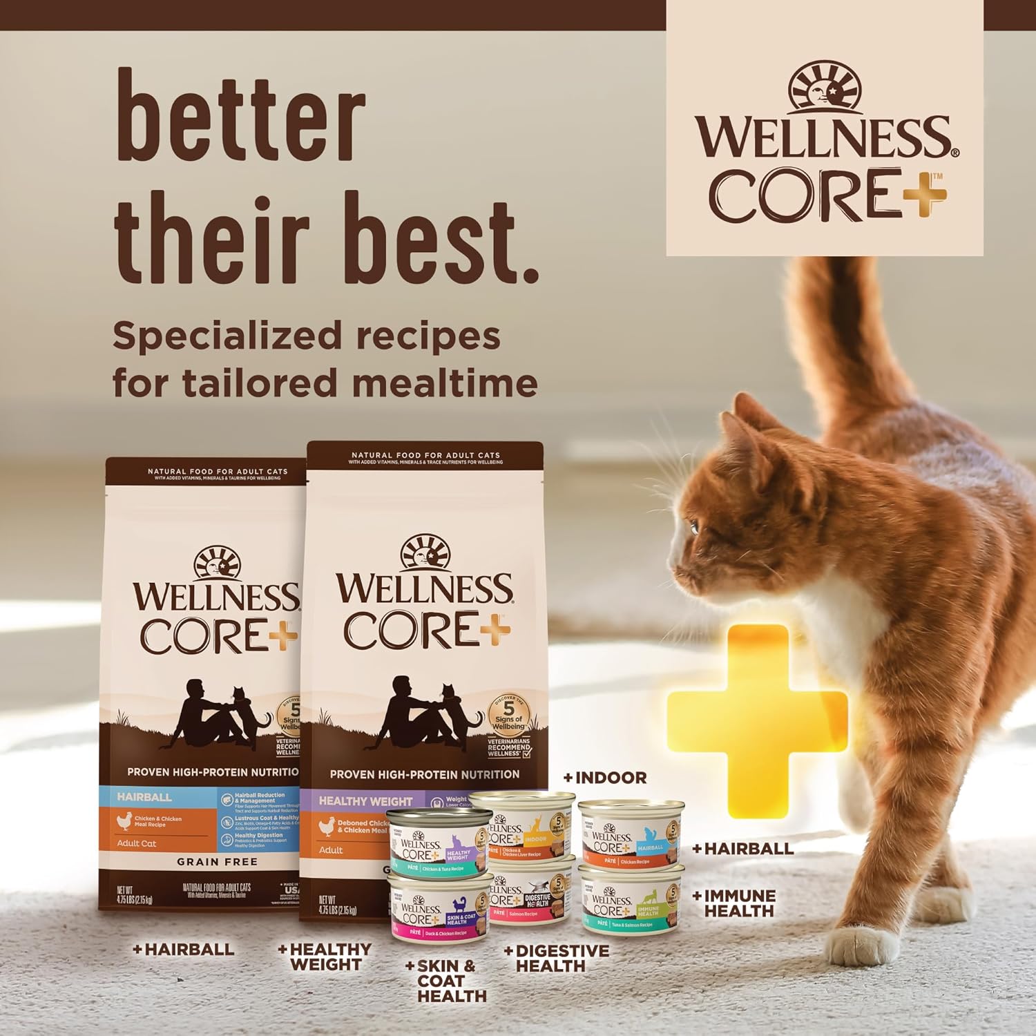 Thức ăn ướt tự nhiên không chứa ngũ cốc Wellness CORE Digestive Health cho mèo, dạ dày nhạy cảm, dễ tiêu hóa (Gói gà/gà tây đa dạng, hộp 3 ounce, gói 12 chiếc)