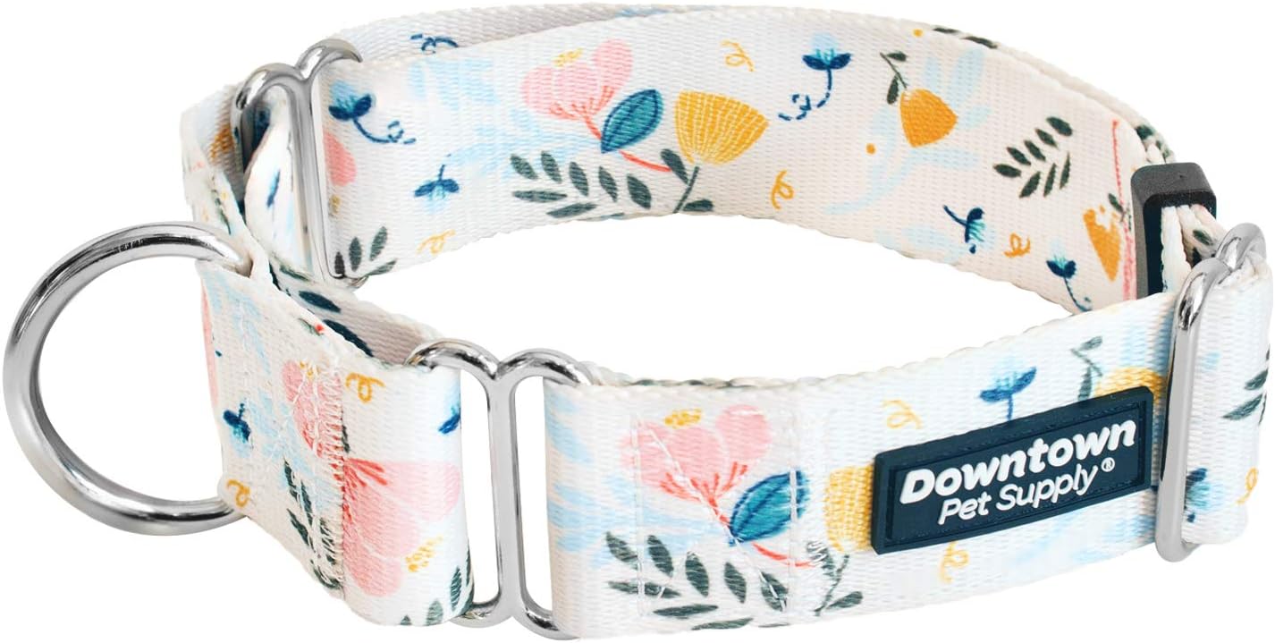 Downtown Pet Supply - Collare Martingala per cani - Collare da addestramento per cani grande, largo e spesso - a prova di fuga, resistente alle intemperie, durevole e confortevole - Floreale - Grande