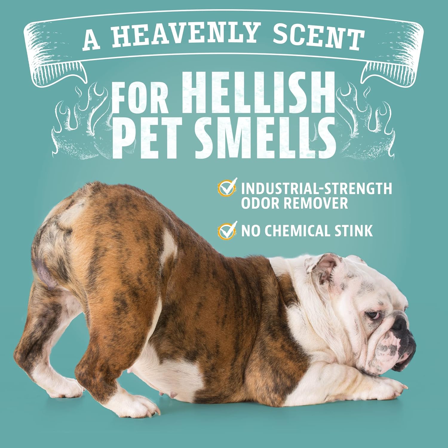 ANGRY ORANGE Pet Odor Eliminator for Strong - Citrus Deodorizer Dog or Cat Pee Smells on Carpet, Furniture Indoor Outdoor Floors Puppy Supplies (24 Fl Oz UV Flashlight) · v4
