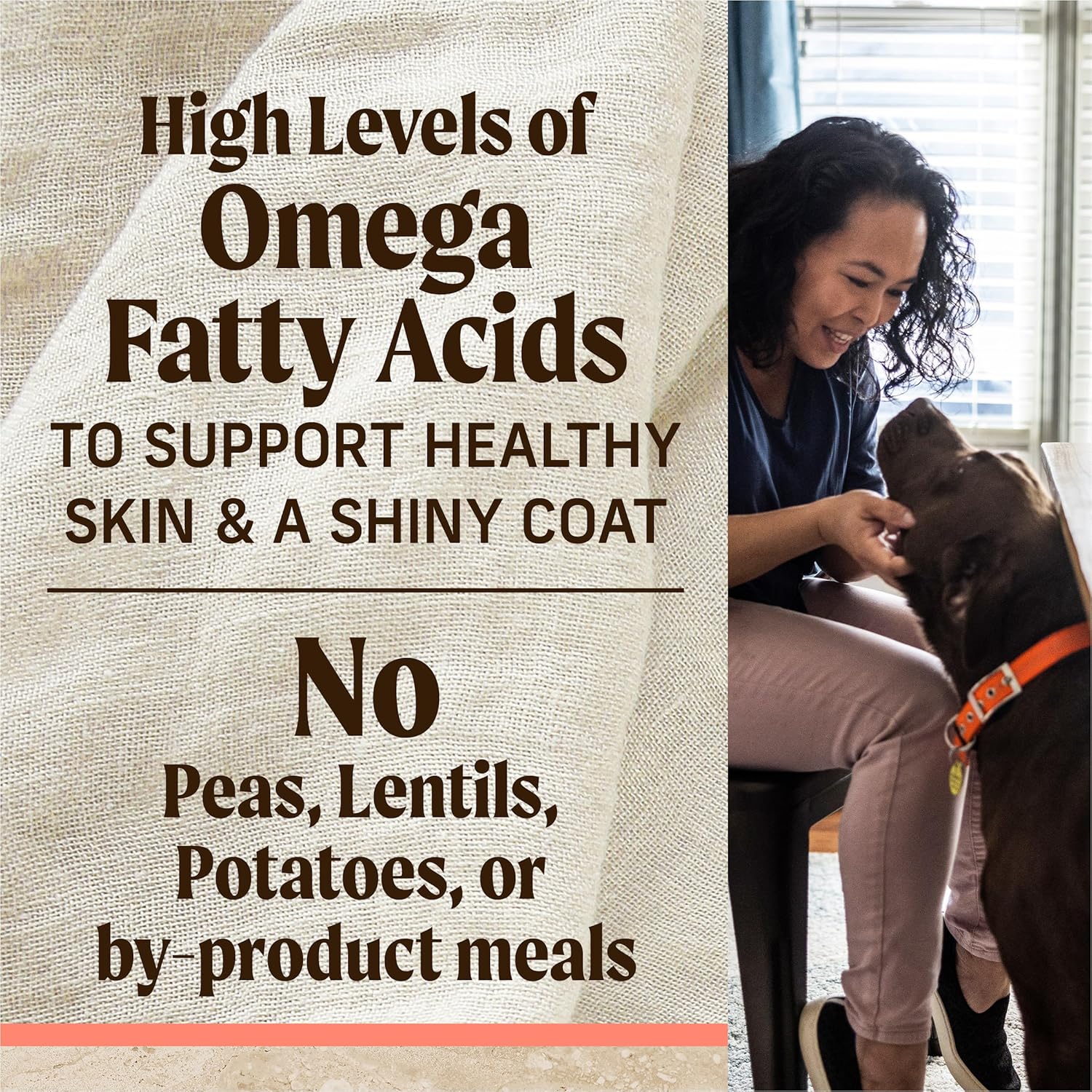 Merrick Healthy Grains Premium Adult Dry Dog Food, Wholesome And Natural Kibble With Salmon And Brown Rice - 12.0 lb. Bag · v2