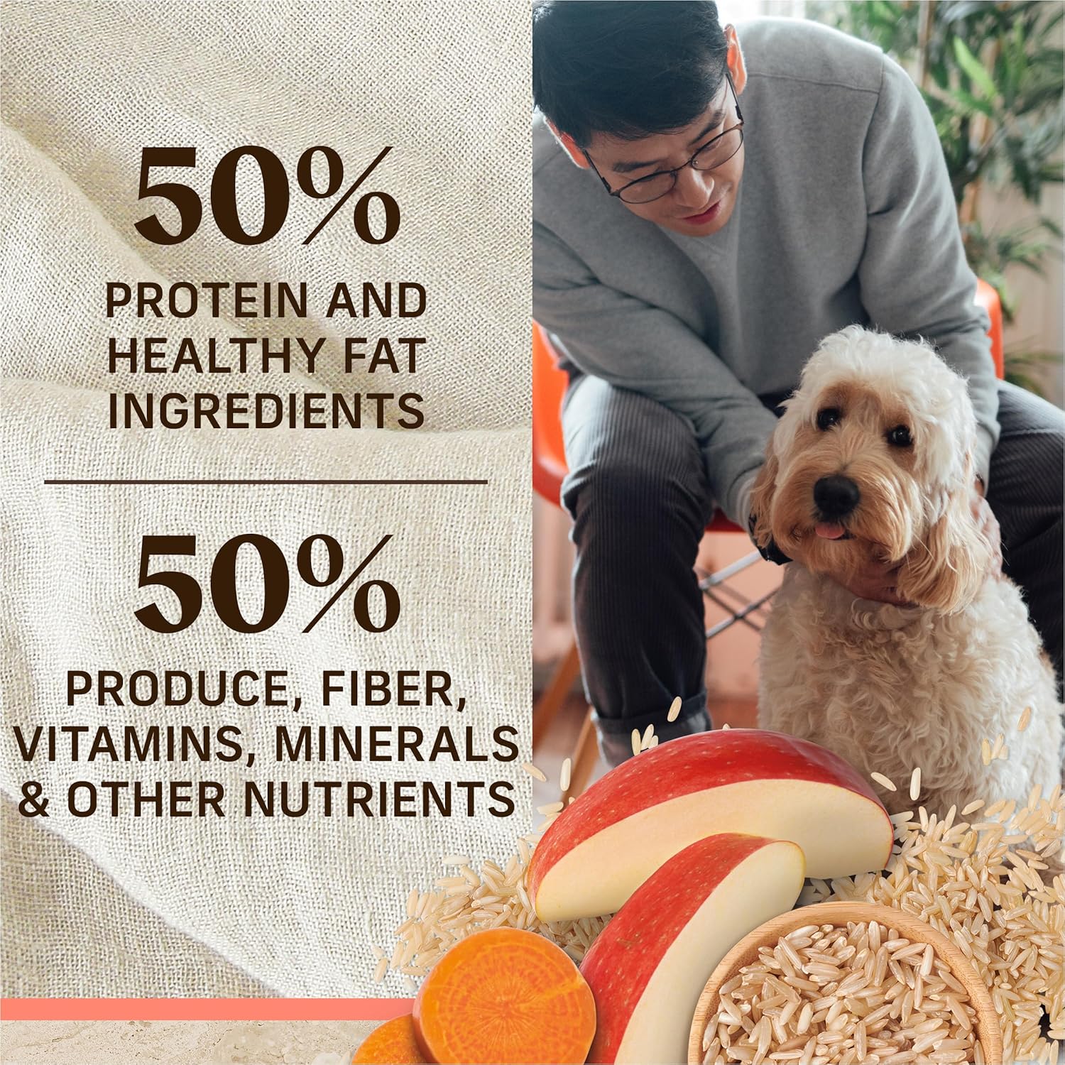Merrick Healthy Grains Premium Adult Dry Dog Food, Wholesome And Natural Kibble With Salmon And Brown Rice - 12.0 lb. Bag · v2