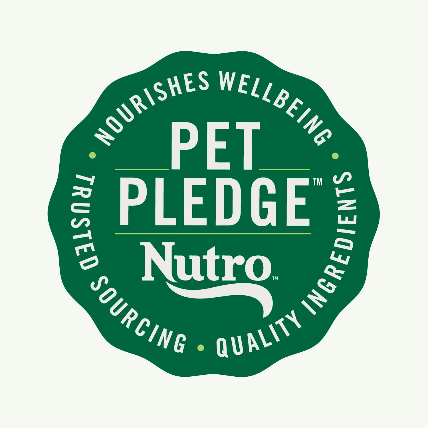 Alimento seco para cachorros Nutro Natural Choice, receta de pollo y arroz integral, 13 libras
