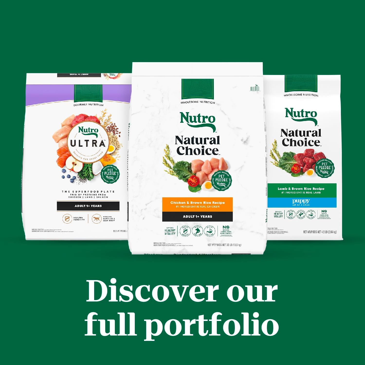 Alimento seco para cachorros Nutro Natural Choice, receta de pollo y arroz integral, 13 libras