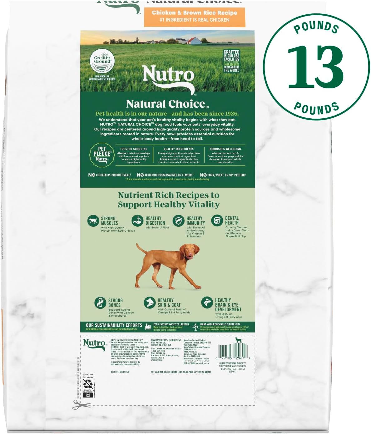 Alimento seco para cachorros Nutro Natural Choice, receta de pollo y arroz integral, 13 libras