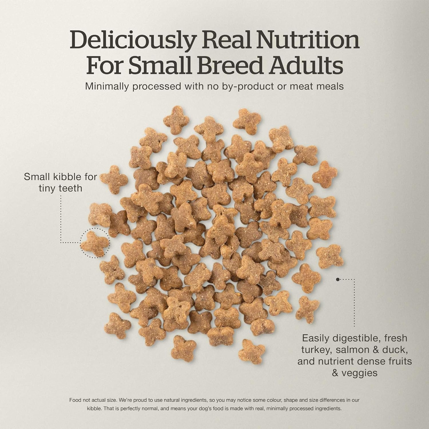 Now Fresh Dry Dog Food for Small Breeds, Turkey, Salmon and Duck Recipe, 22 lbs - Grain Free, Small Breed Dog Food, Made with Real Meat and Fish for Small and Mini Breeds