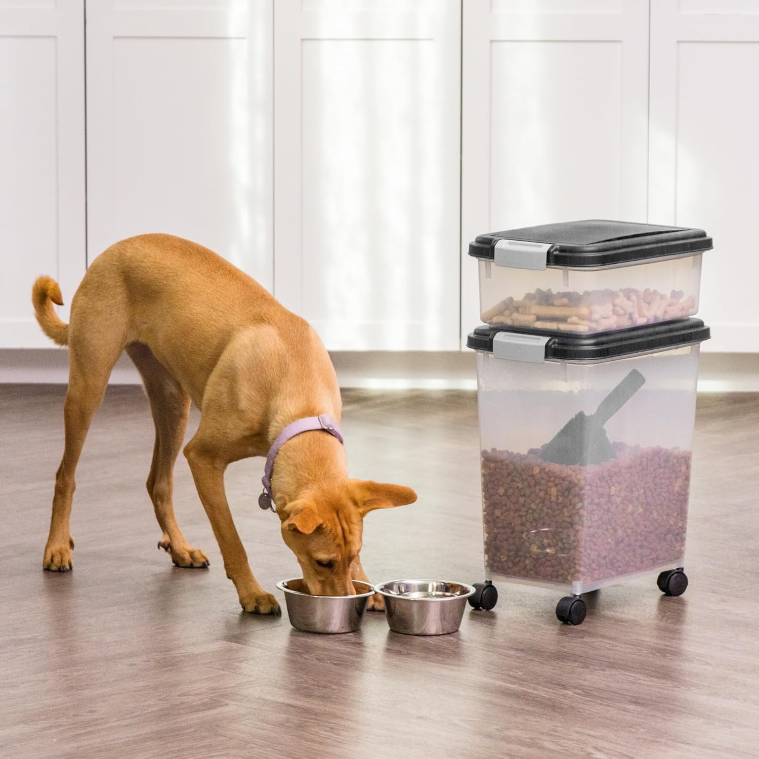 IRIS USA Dog Food Storage Container, 30 lbs  11 lbs Combo, Cat Food Storage Container, Dog Treat Container, Airtight, Stackable, 2-Cup Scoop, Wheels, Easy Mobility, Black · v2