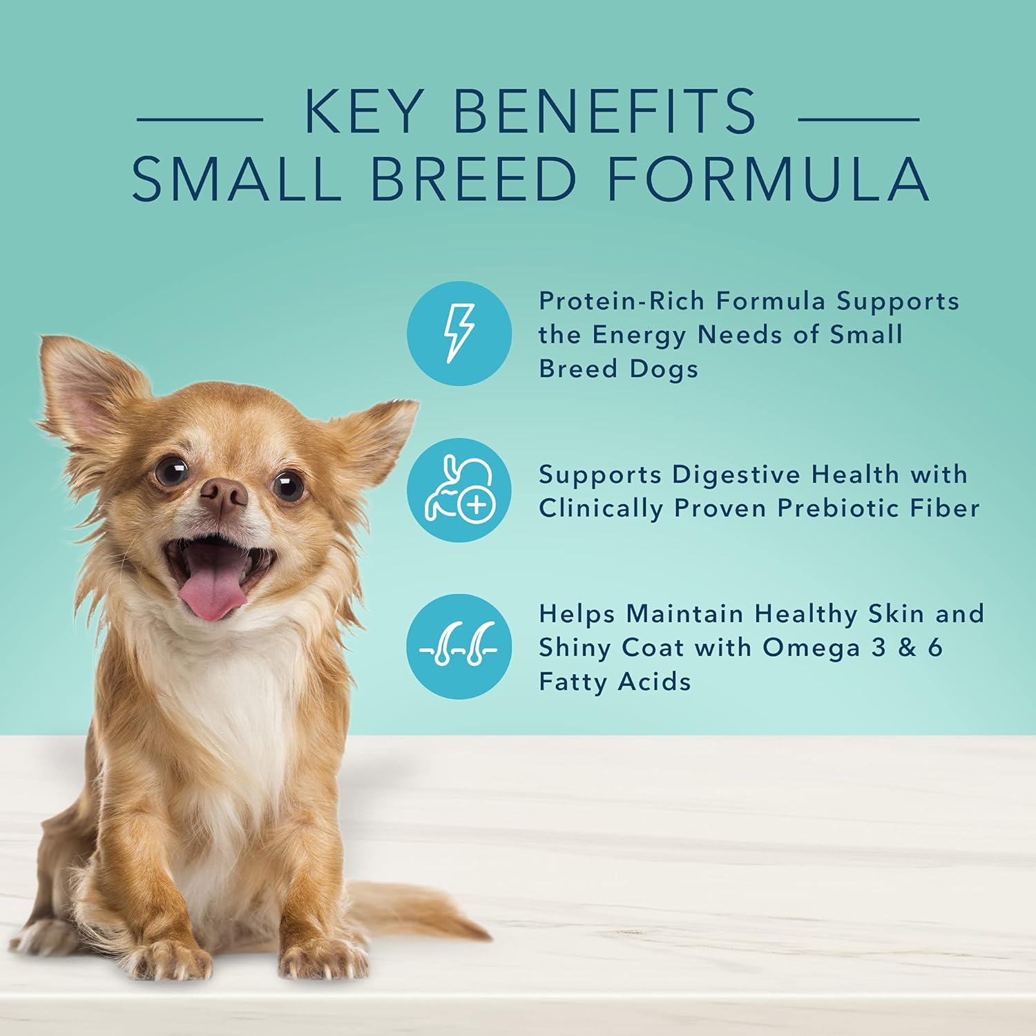 طعام رطب للكلاب الصغيرة من Blue Buffalo True Solutions Small Mighty Natural Small Breed Adult، دجاج، عبوات 5.5 أونصة (عبوة من 24 قطعة)