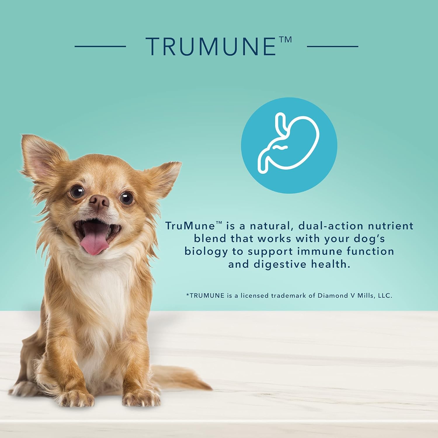 طعام رطب للكلاب الصغيرة من Blue Buffalo True Solutions Small Mighty Natural Small Breed Adult، دجاج، عبوات 5.5 أونصة (عبوة من 24 قطعة)