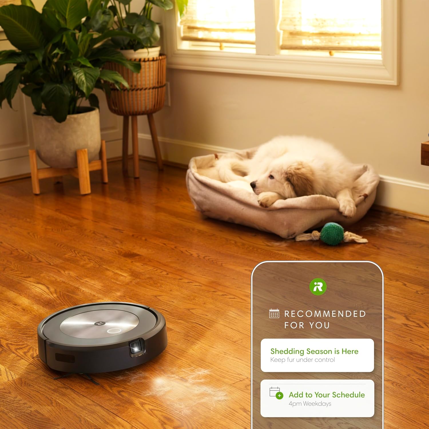 iRobot Roomba j7 (7550) Self-Emptying Robot Vacuum – Uses PrecisionVision Navigation to Identify Avoid Objects Like Socks, Shoes, amp; Pet Waste, Smart Mapping, Self-Empty for Up to 60 Days · v7