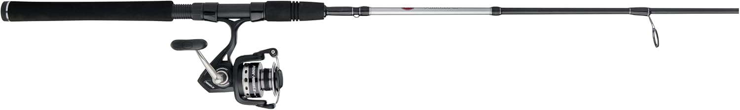 PENN Pursuit III Pursuit IV Kombination aus Spinnrolle und Angelrute