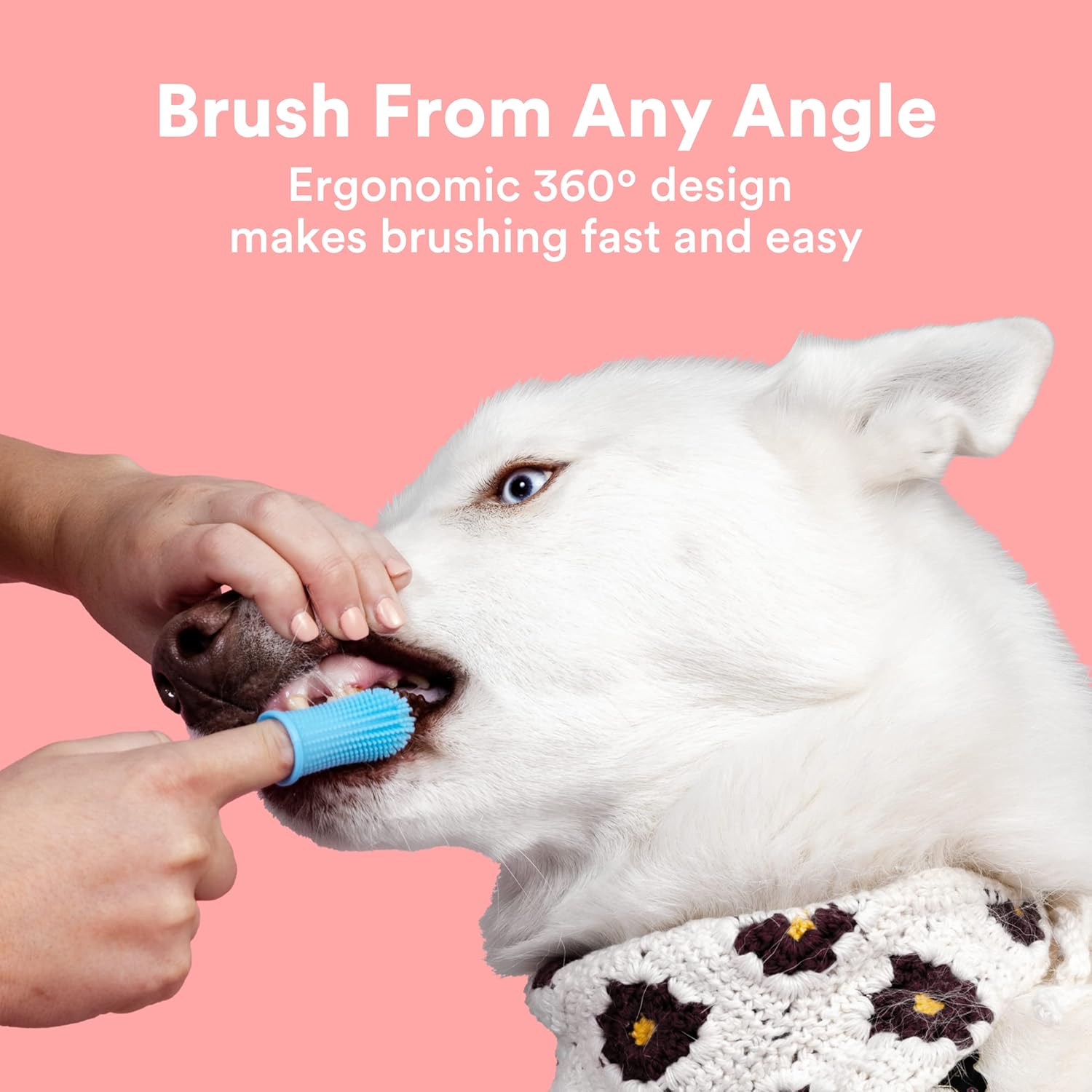 Jasper Dog Toothbrush, 360-Degree Silicone Dog Finger Toothbrush with Storage Cases, Dog Tooth Brushing Kit, Dog Teeth Cleaning Kit for Medium and Large Dogs, Use with Dog Toothpaste, 2-Pack Blue · v5