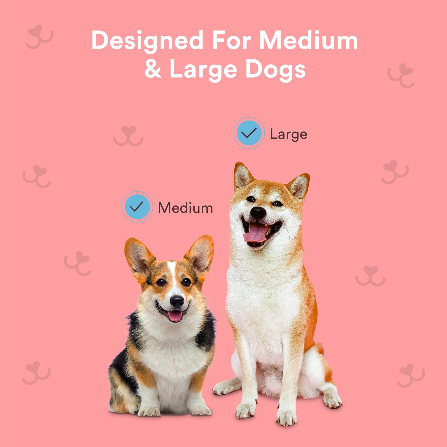 Jasper Dog Toothbrush, 360-Degree Silicone Dog Finger Toothbrush with Storage Cases, Dog Tooth Brushing Kit, Dog Teeth Cleaning Kit for Medium and Large Dogs, Use with Dog Toothpaste, 2-Pack Blue · v5