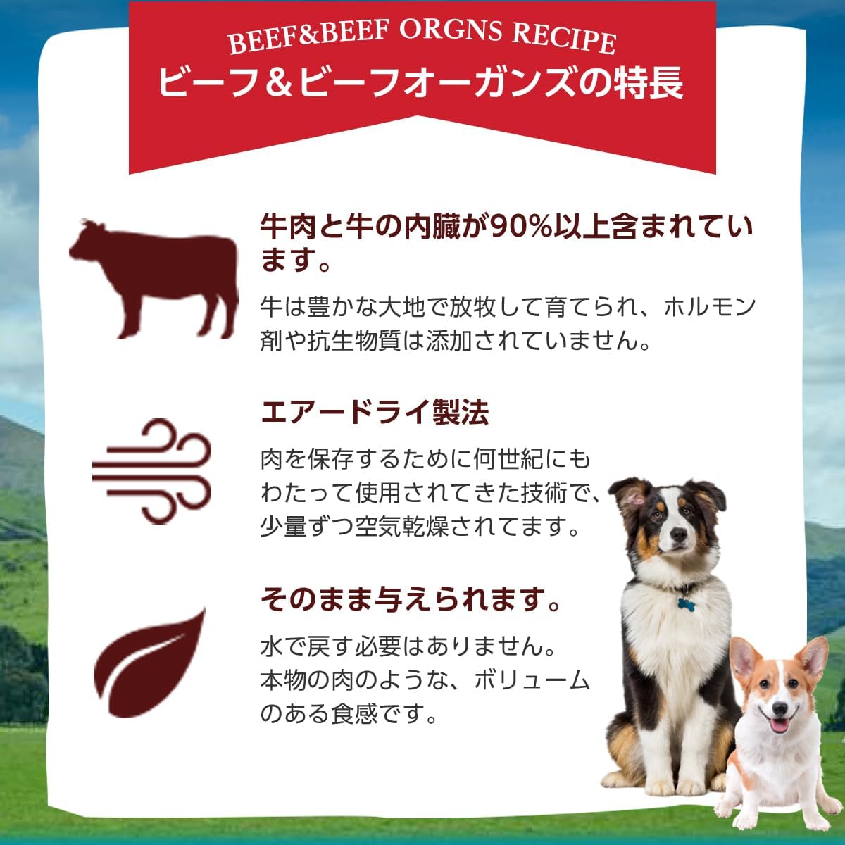 Grandma Maes Country Naturals RawTernative Air Dried Dog Food. (1LB Beef  Beef Organs) · v2