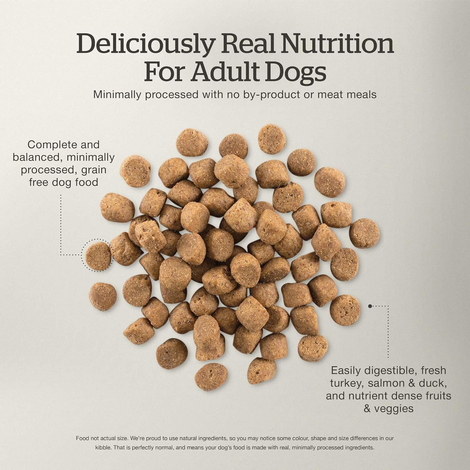 Now Fresh Dry Dog Food, Turkey, Salmon and Duck Recipe, 3.5 lbs - Grain Free Dog Food, Made with Real Meat and Fish for Small, Medium, and Large Breed Adults