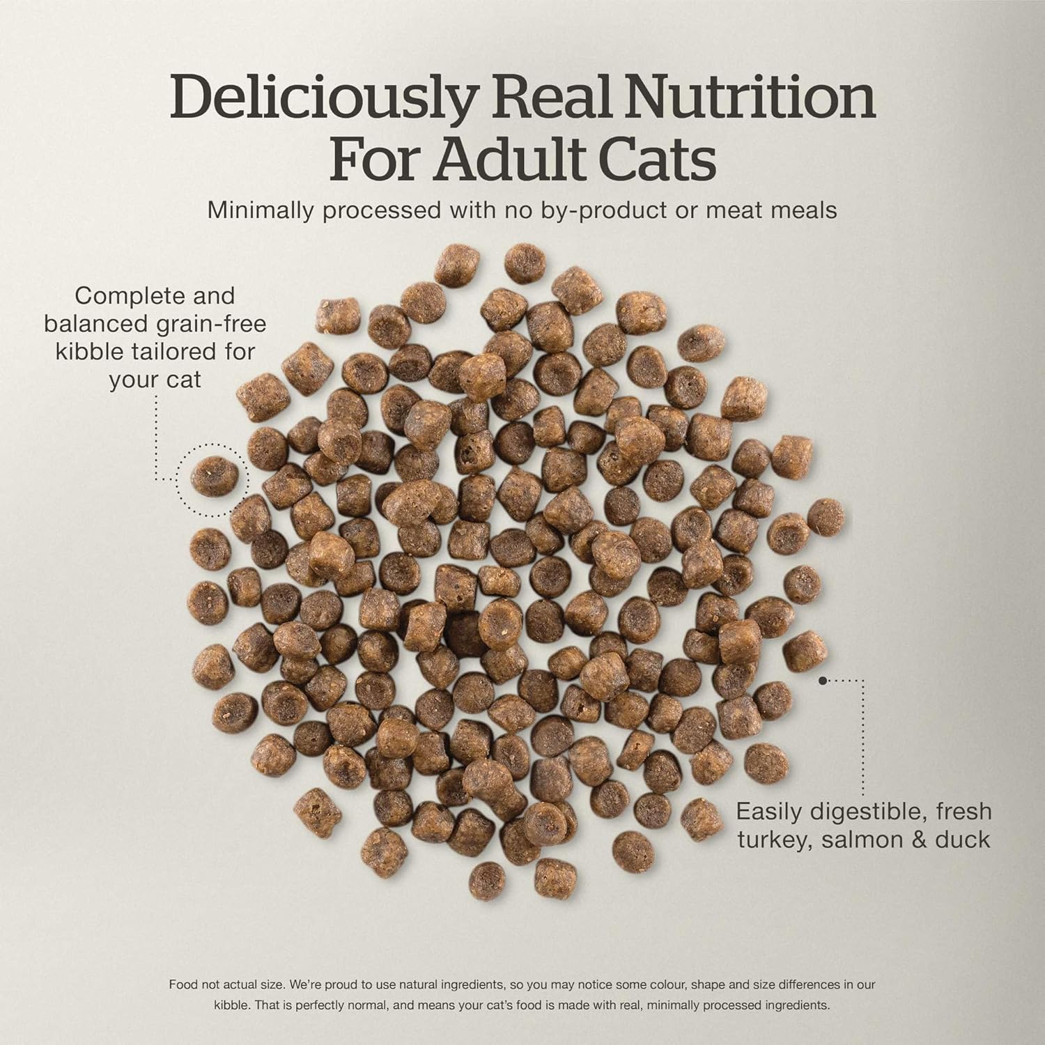 Nourriture sèche pour chats Now Fresh, recette de dinde, de saumon et de canard, 3 livres. Nourriture pour chats sans céréales, préparée avec de la vraie viande et du vrai poisson