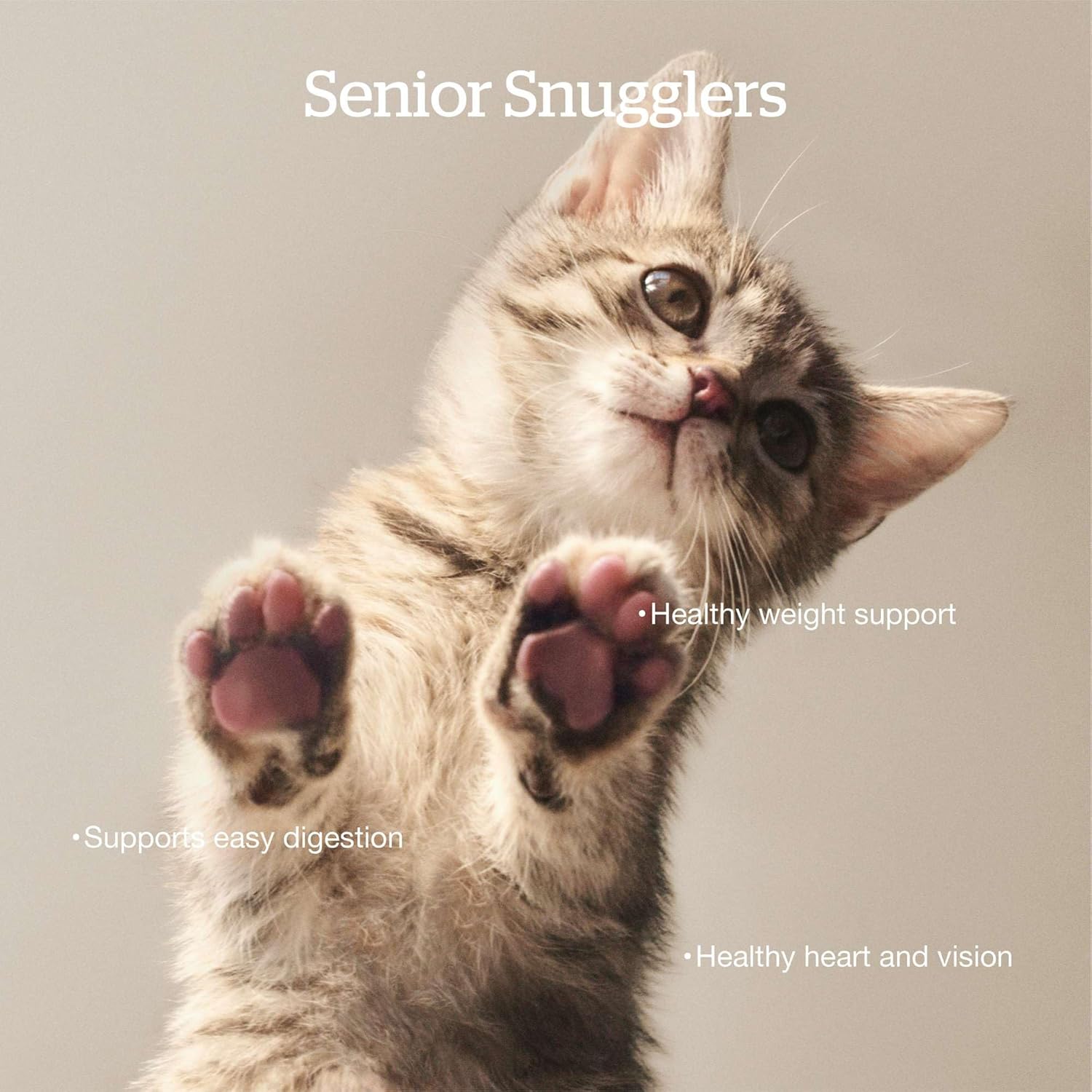 Now Fresh Dry Cat Food for Seniors, Turkey, Salmon and Duck Recipe, 3 lbs - Grain Free, Senior Cat Food, Made with Real Meat and Fish