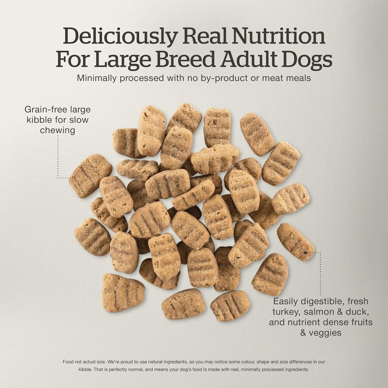 Now Fresh Dry Dog Food for Large Breeds, Turkey, Salmon and Duck Recipe, 12 lbs - Grain Free, Large Breed Dog Food, Made with Real Meat for Large and Giant Breeds · v5