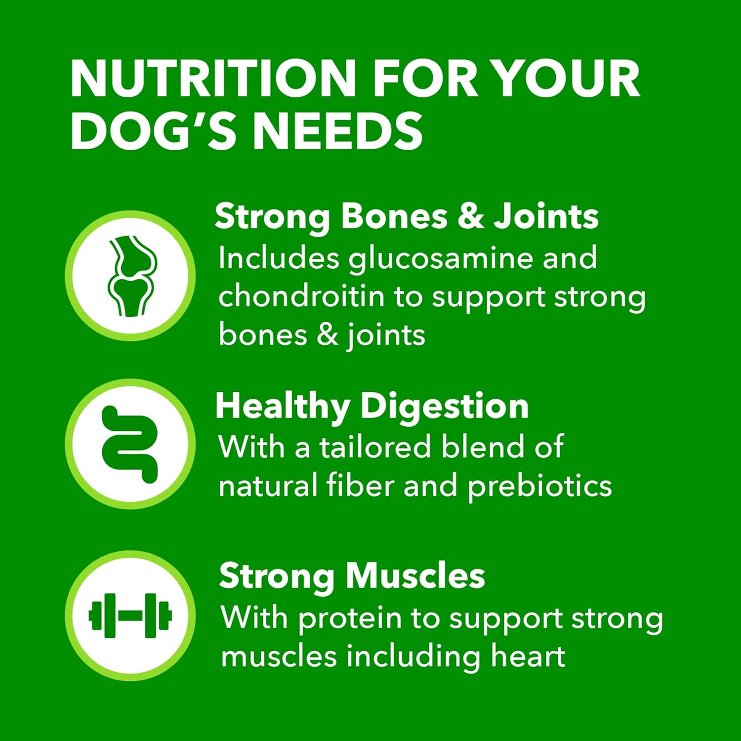 Iams Proactive Health Large Breed Adult Dry Dog Food Lamb  Rice Recipe, 40 lb. Bag · v2