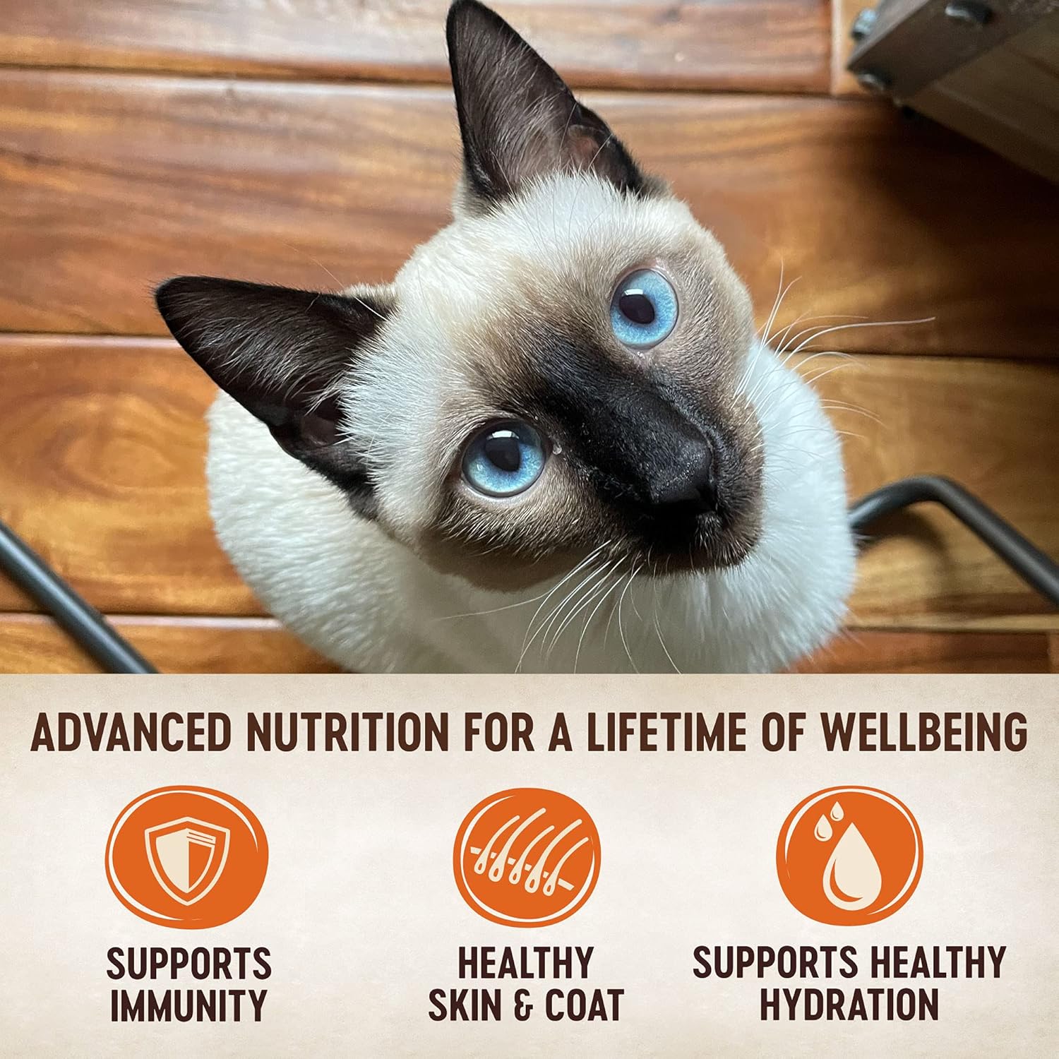 Wellness CORE Signature Selects Flaked Wet Cat Food, Seafood Poultry Variety Pack Bundle, 2.8 Ounce Cans (Pack of 16) · v5
