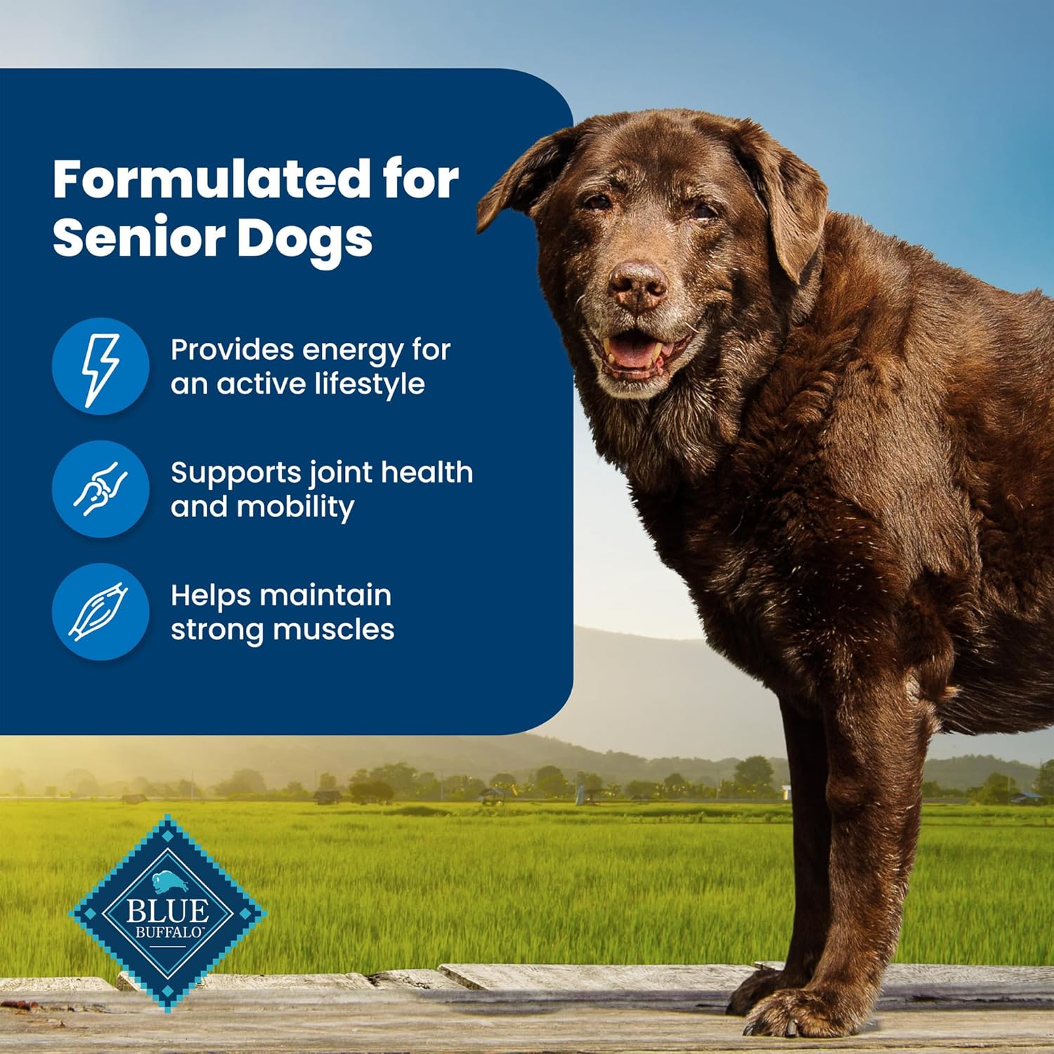 Blue Buffalo Life Protection Formula Senior Dry Dog Food, Supports Joint Health and Mobility, Made with Natural Ingredients, Chicken  Brown Rice Recipe, 34-lb. Bag · v2
