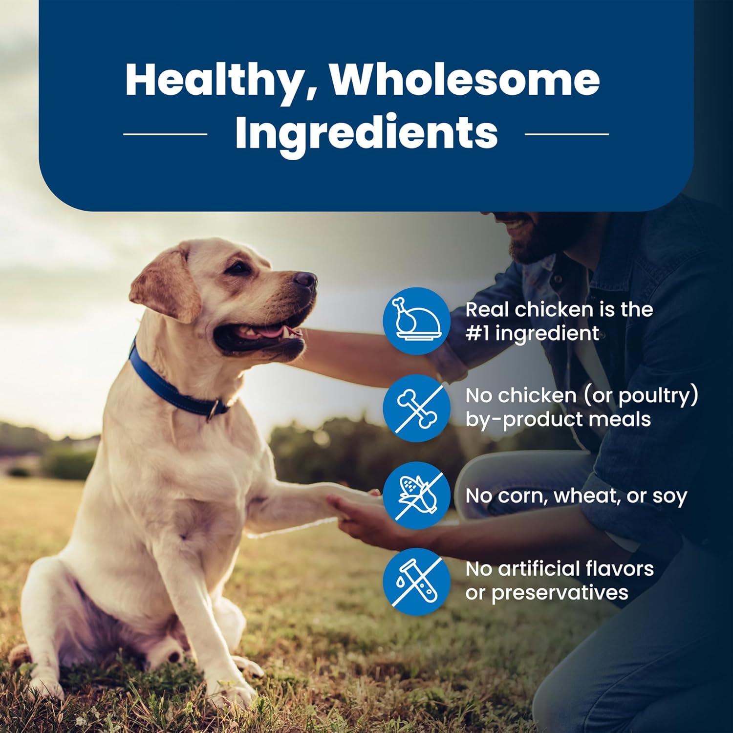 Blue Buffalo Life Protection Formula Senior Dry Dog Food, Supports Joint Health and Mobility, Made with Natural Ingredients, Chicken  Brown Rice Recipe, 34-lb. Bag · v2