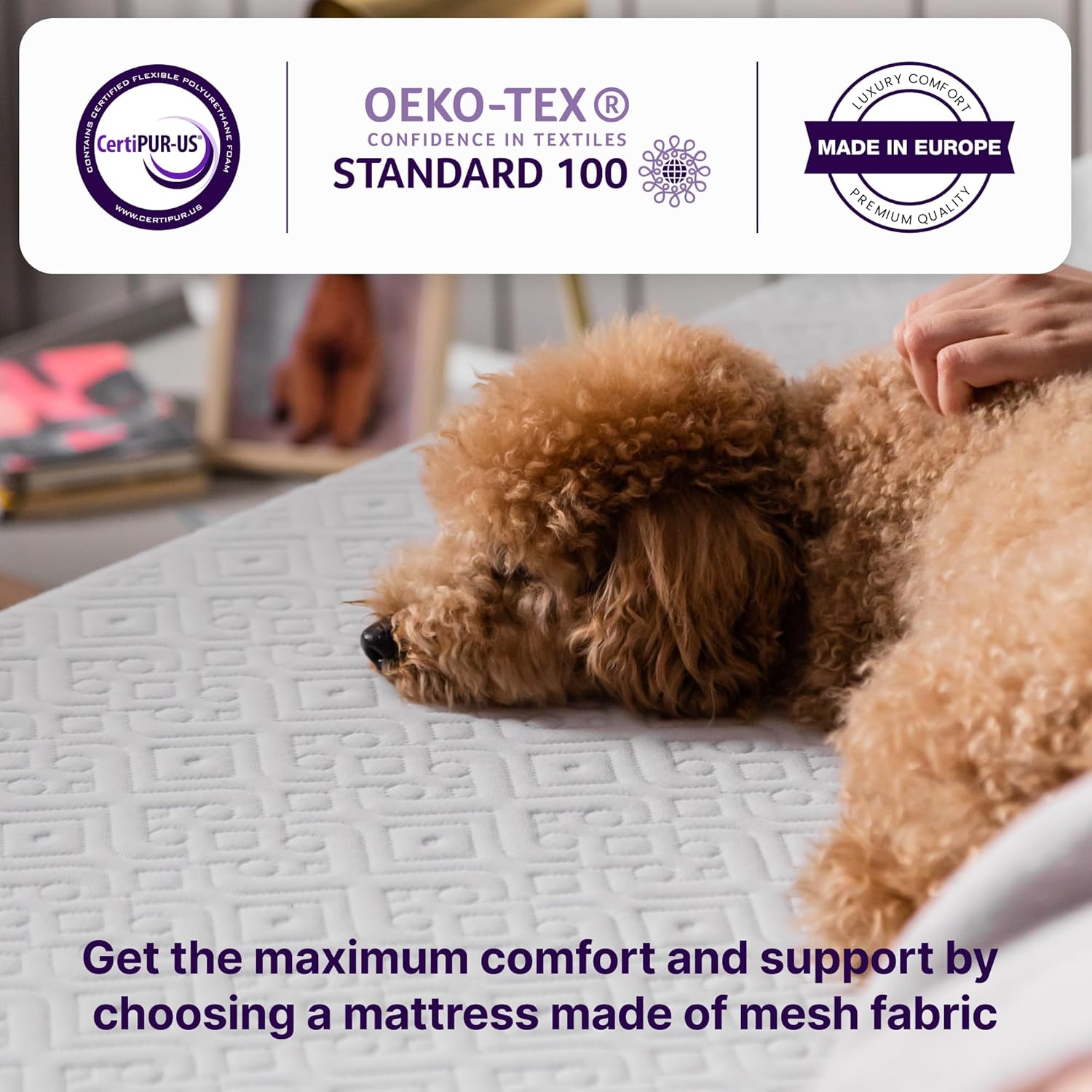 NapQueen Queen Mattress, 10 Inch Elizabeth Cooling Gel Memory Foam Mattress, Queen Bed Mattress in a Box, CertiPUR-US Certified, Medium Firm, Breathable Soft Fabric Cover · v3