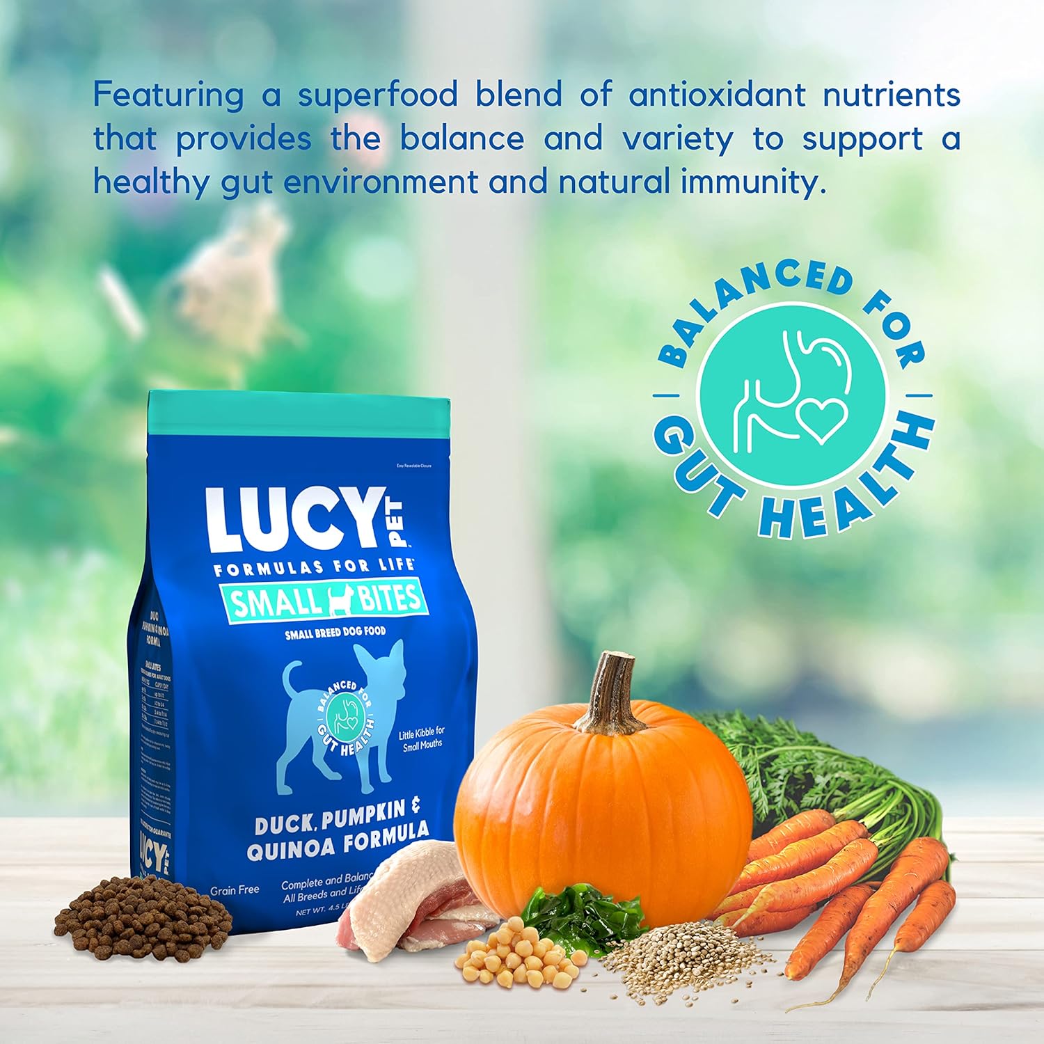 Nourriture pour chiens Lucy Pet Products, canard et potiron, quinoa, petites bouchées, 4,5 livres