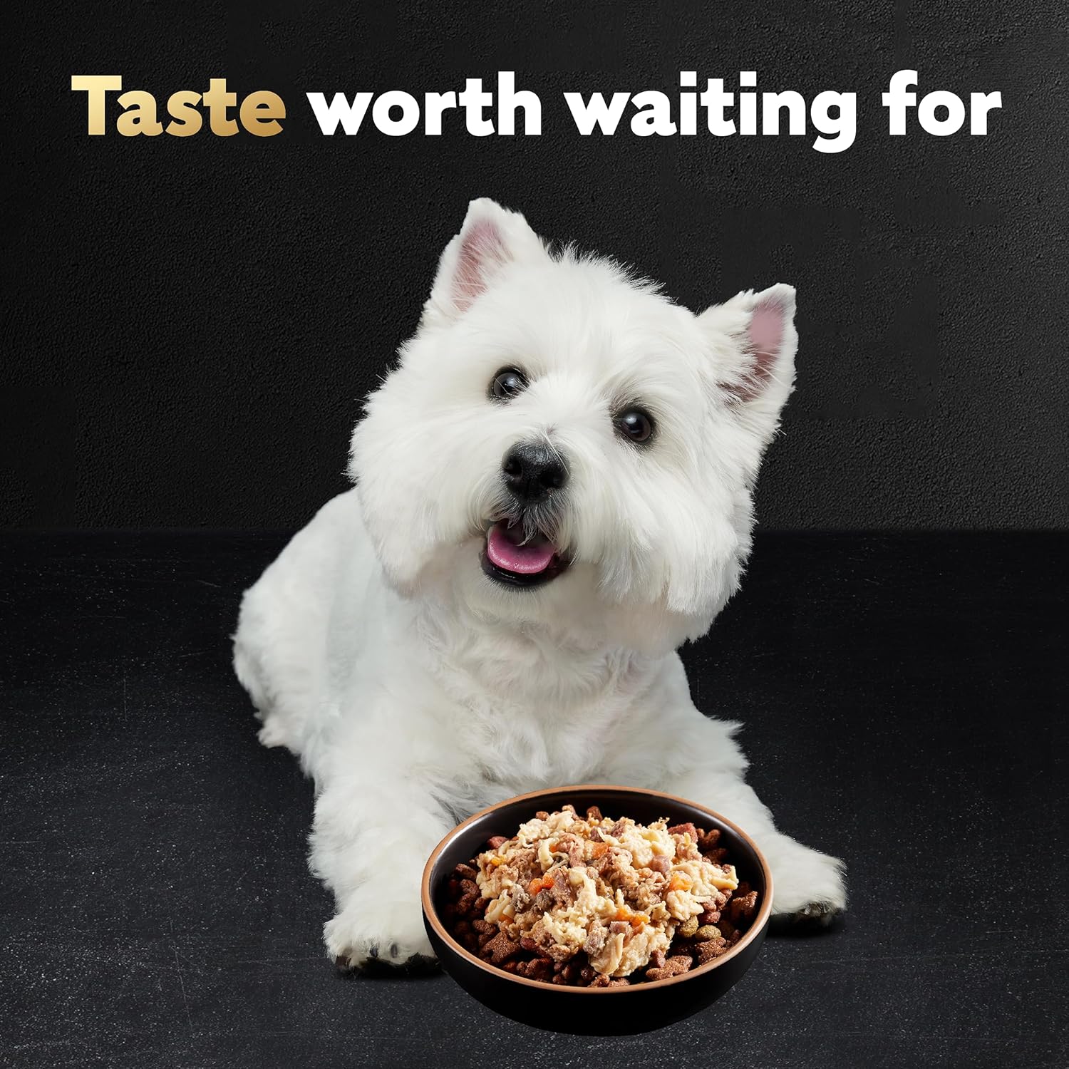 Recette de nourriture molle et humide pour chiens CESAR WHOLESOME BOWLS pour adultes au bœuf, au poulet, aux carottes, à l'orge et aux haricots verts, (10) bols de 3 oz
