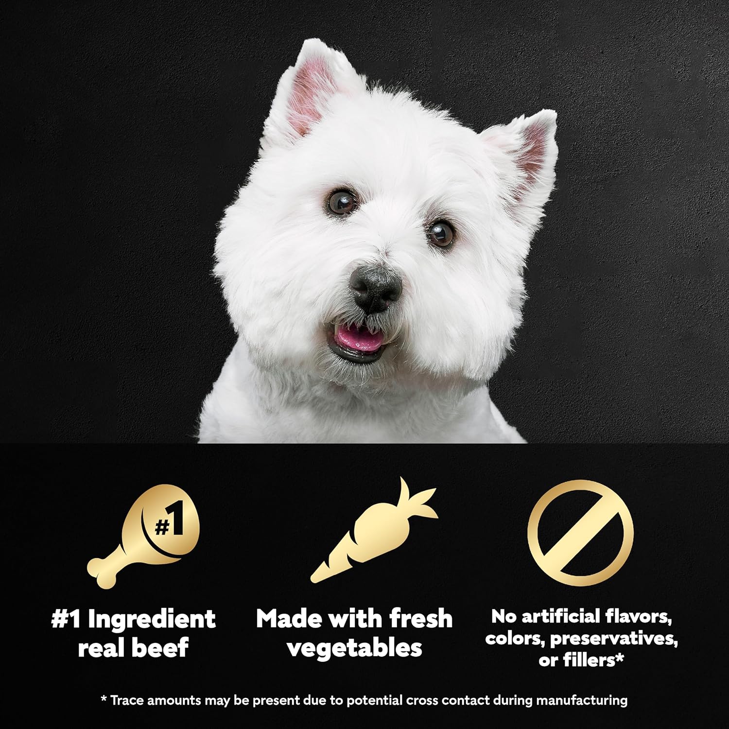 Recette de nourriture molle et humide pour chiens CESAR WHOLESOME BOWLS pour adultes au bœuf, au poulet, aux carottes, à l'orge et aux haricots verts, (10) bols de 3 oz