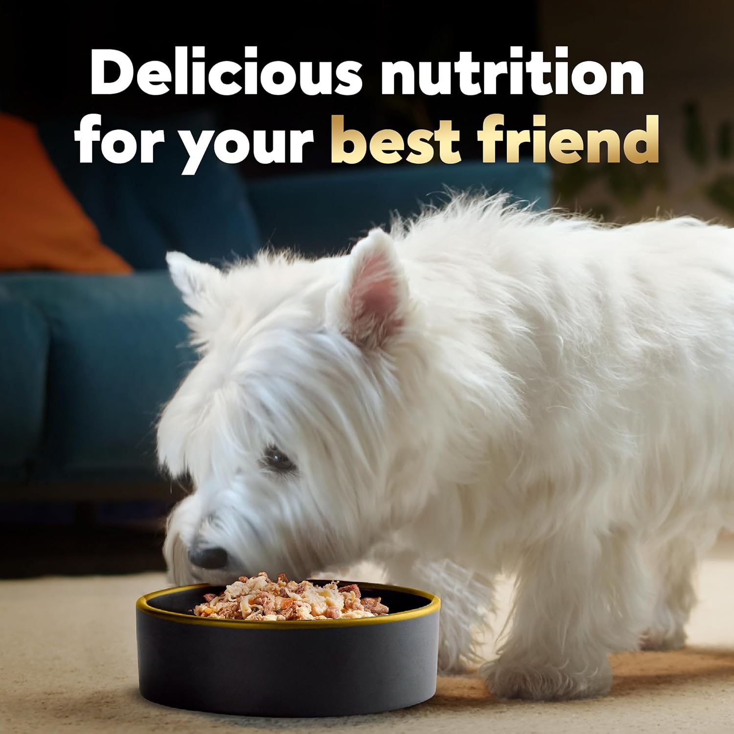 Recette de nourriture molle et humide pour chiens CESAR WHOLESOME BOWLS pour adultes au bœuf, au poulet, aux carottes, à l'orge et aux haricots verts, (10) bols de 3 oz