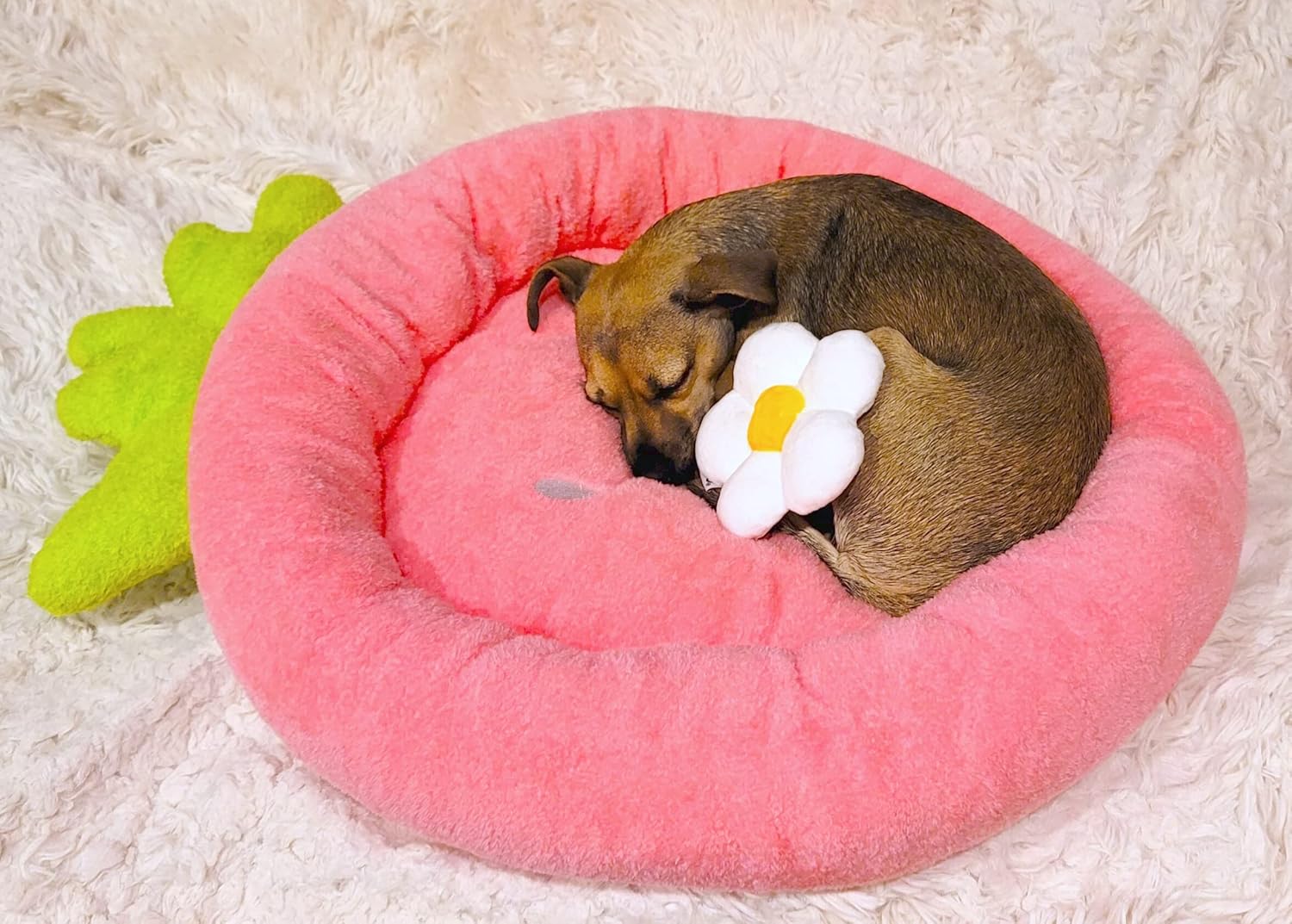 TONBO Hundebett aus weichem Plüsch, klein, niedlich und gemütlich, für Hunde und Katzen geeignet, waschmaschinen- und trocknergeeignet (Erdbeerrot)
